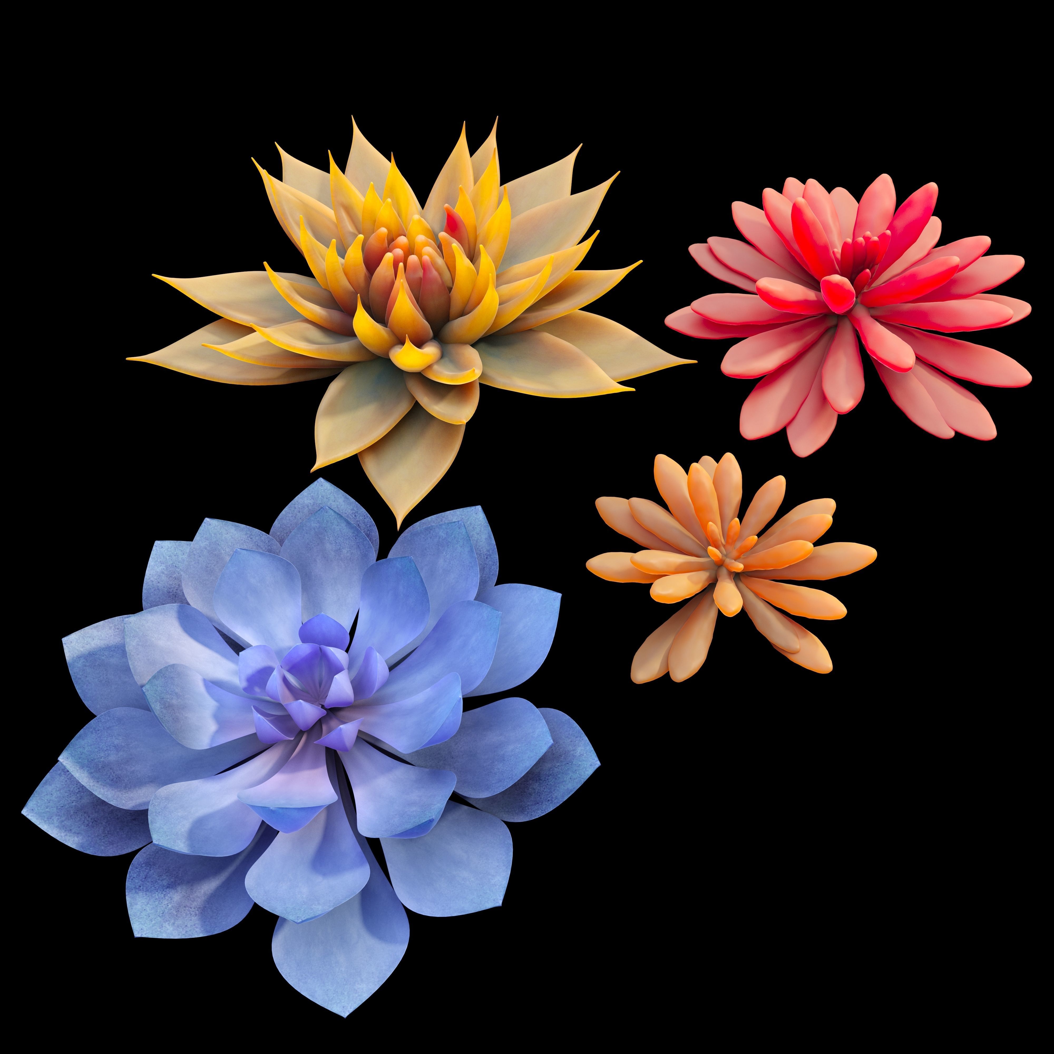 Succulent plants 02 3D model_2