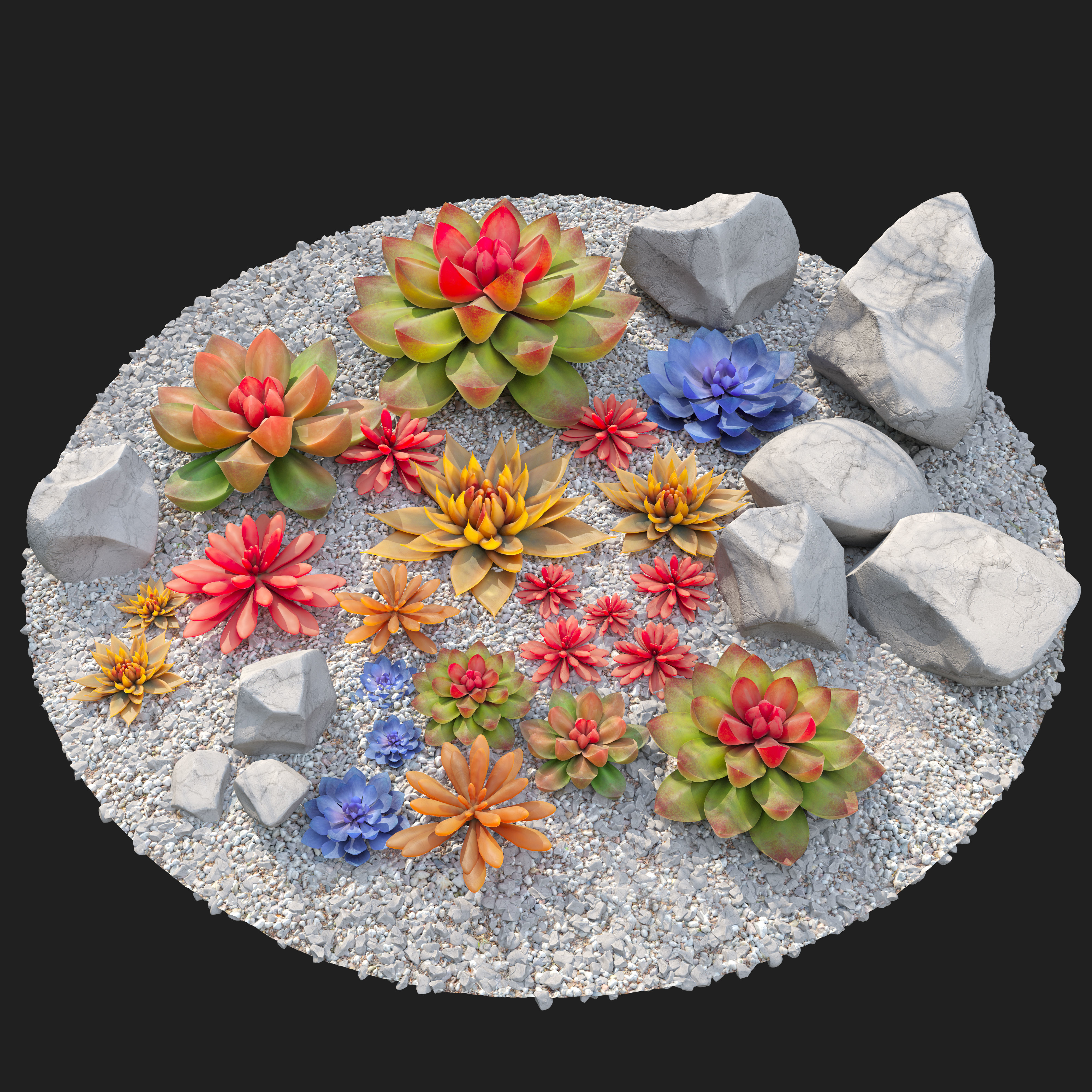 Succulent plants 02 3D model_3