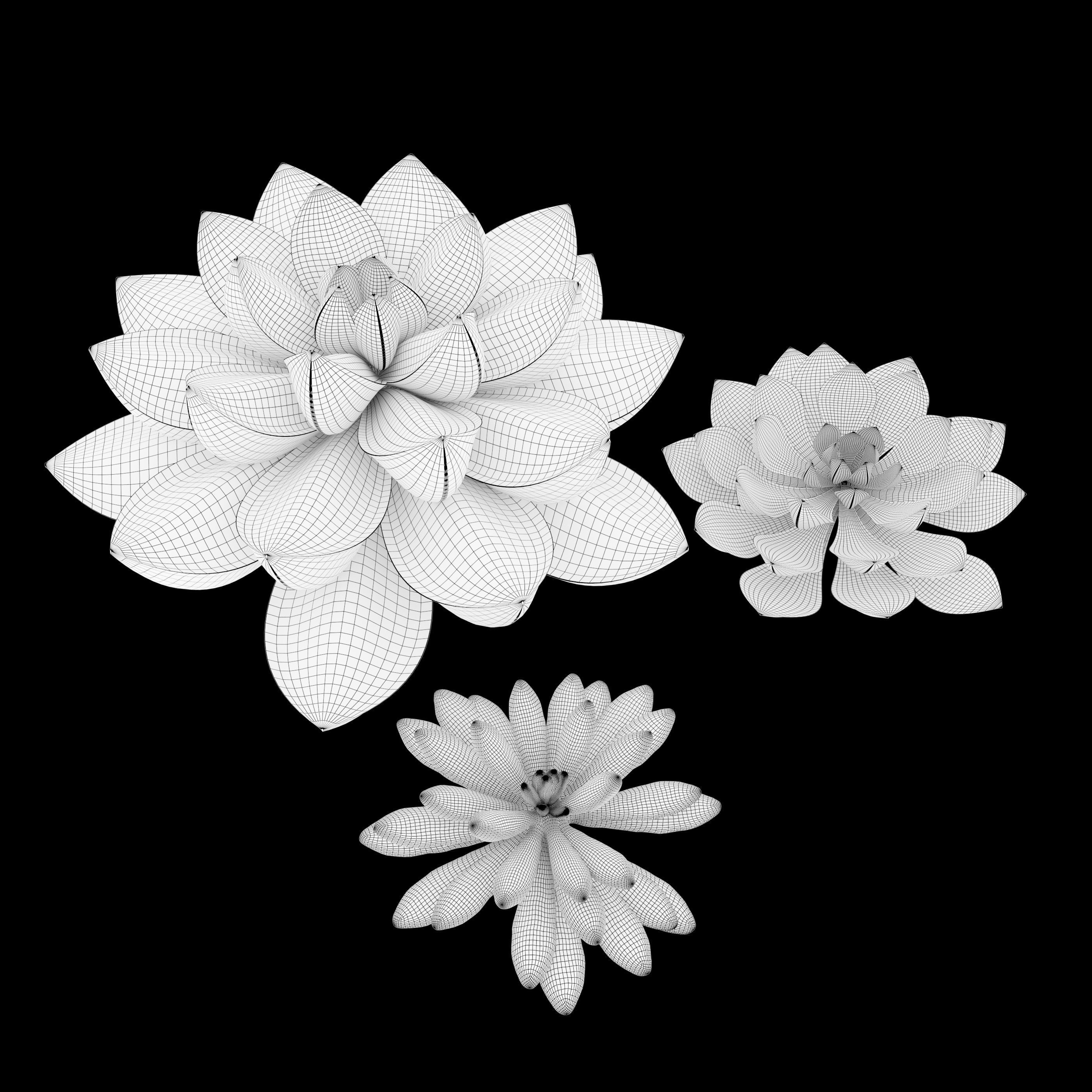 Succulent plants 02 3D model_4