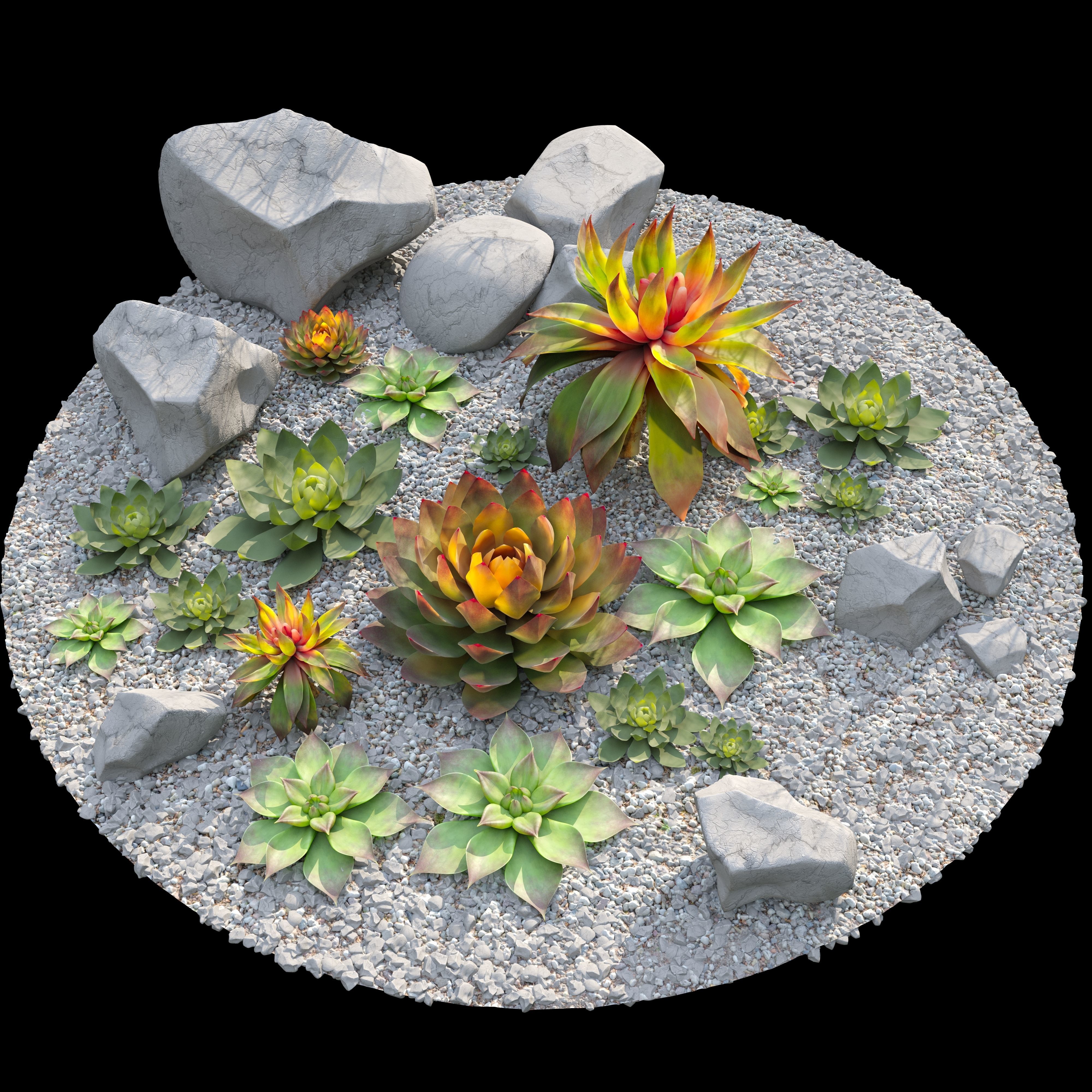Succulent plants 03 3D model_4