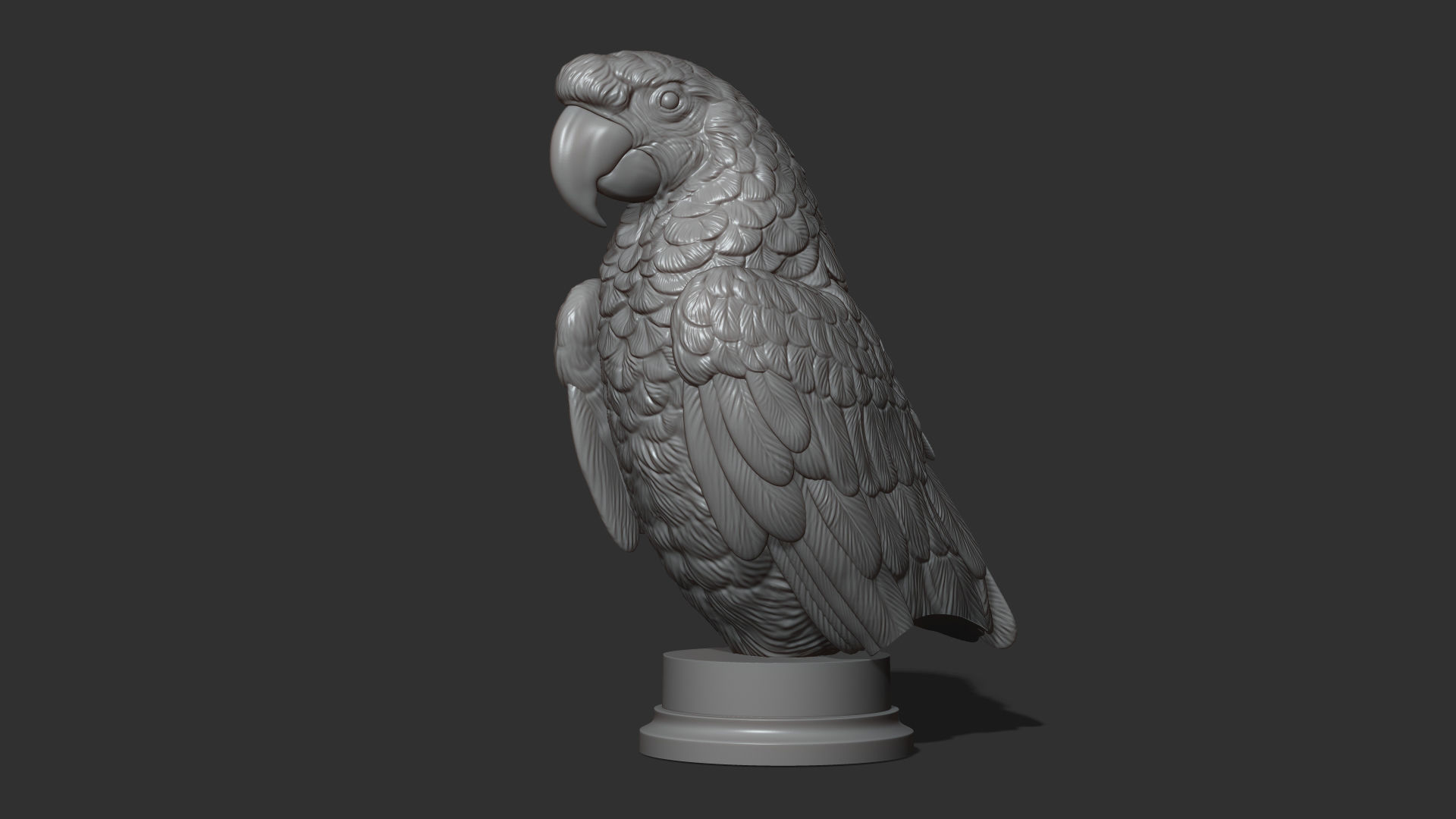 Parrot Ara bust 3D print model_13