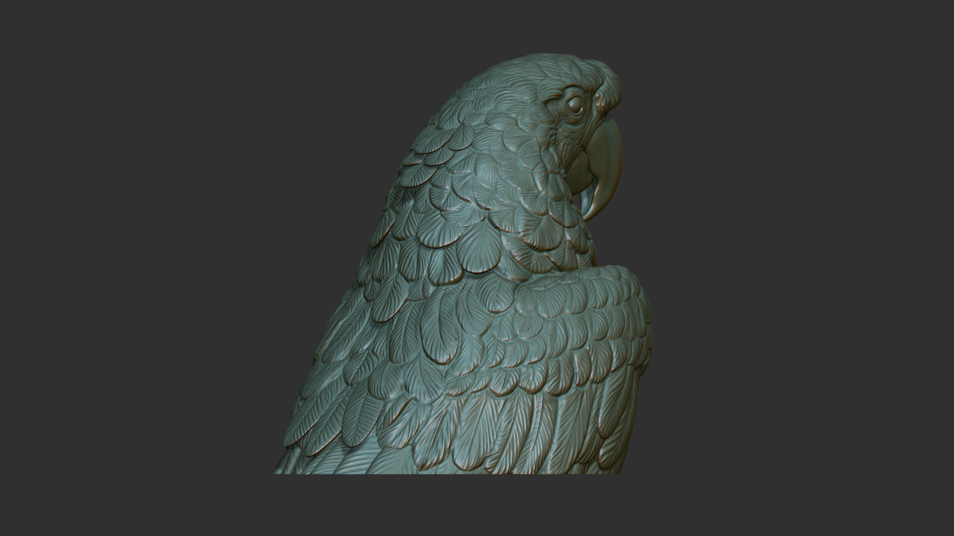 Parrot Ara bust 3D print model_6