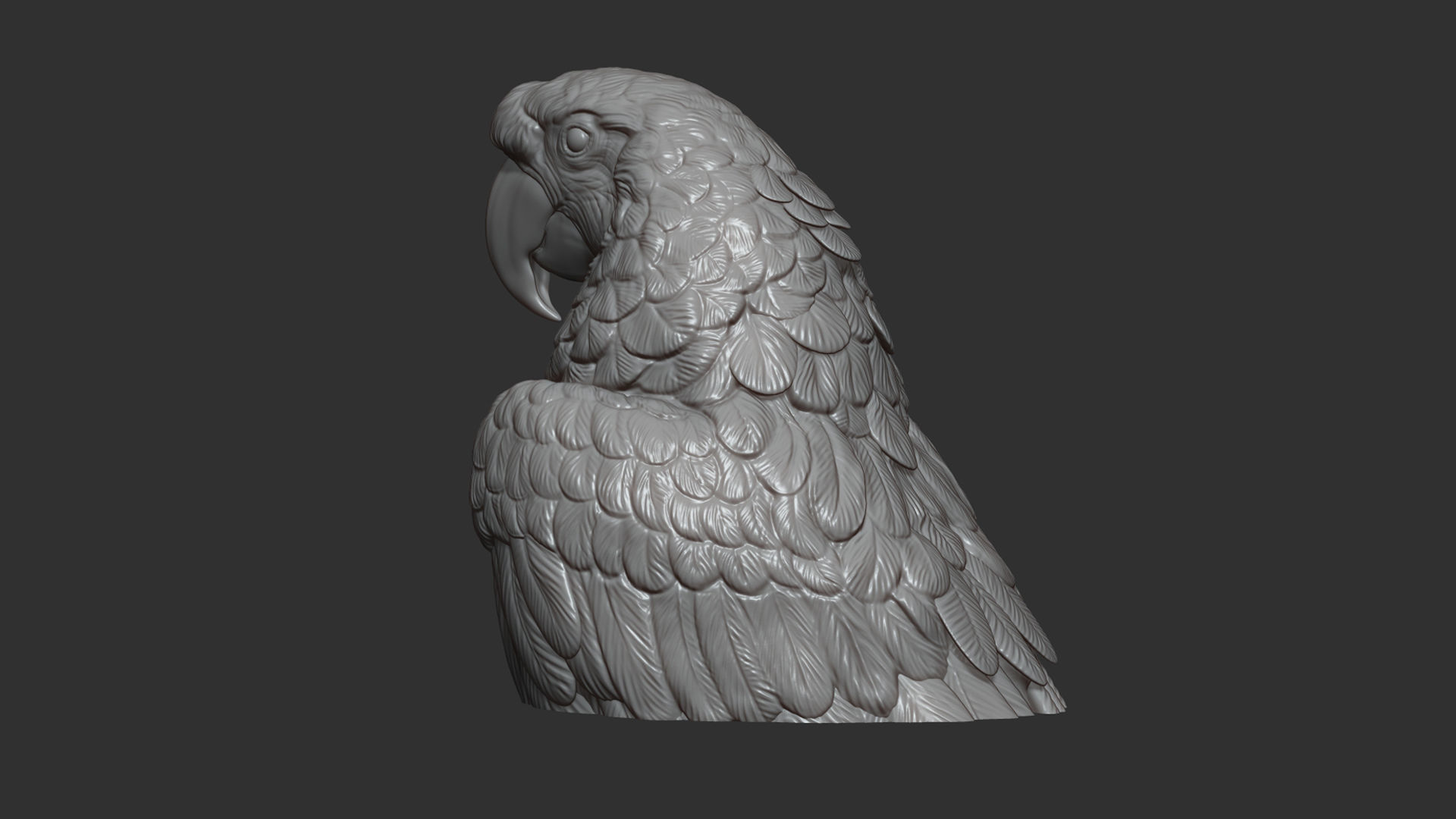 Parrot Ara bust 3D print model_7