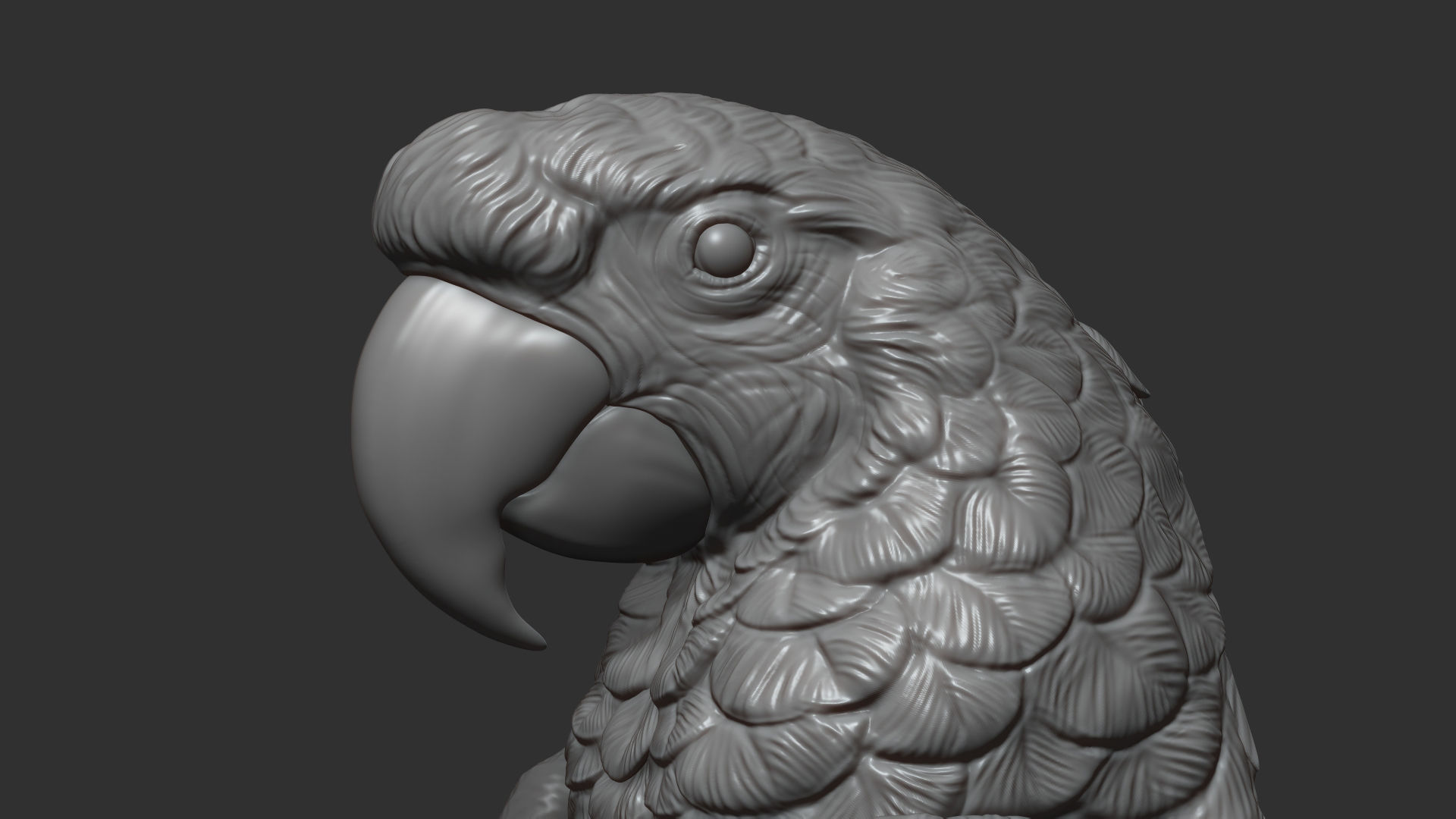 Parrot Ara bust 3D print model_2