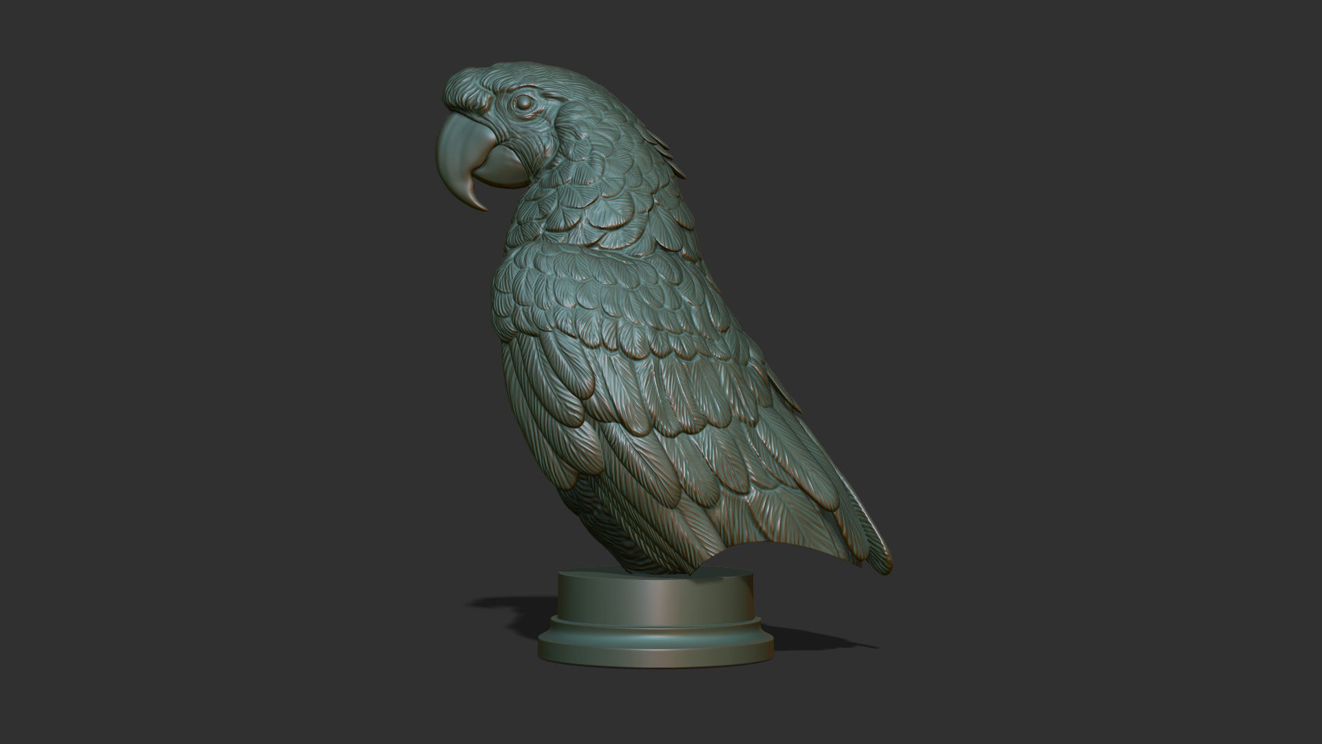 Parrot Ara bust 3D print model_21
