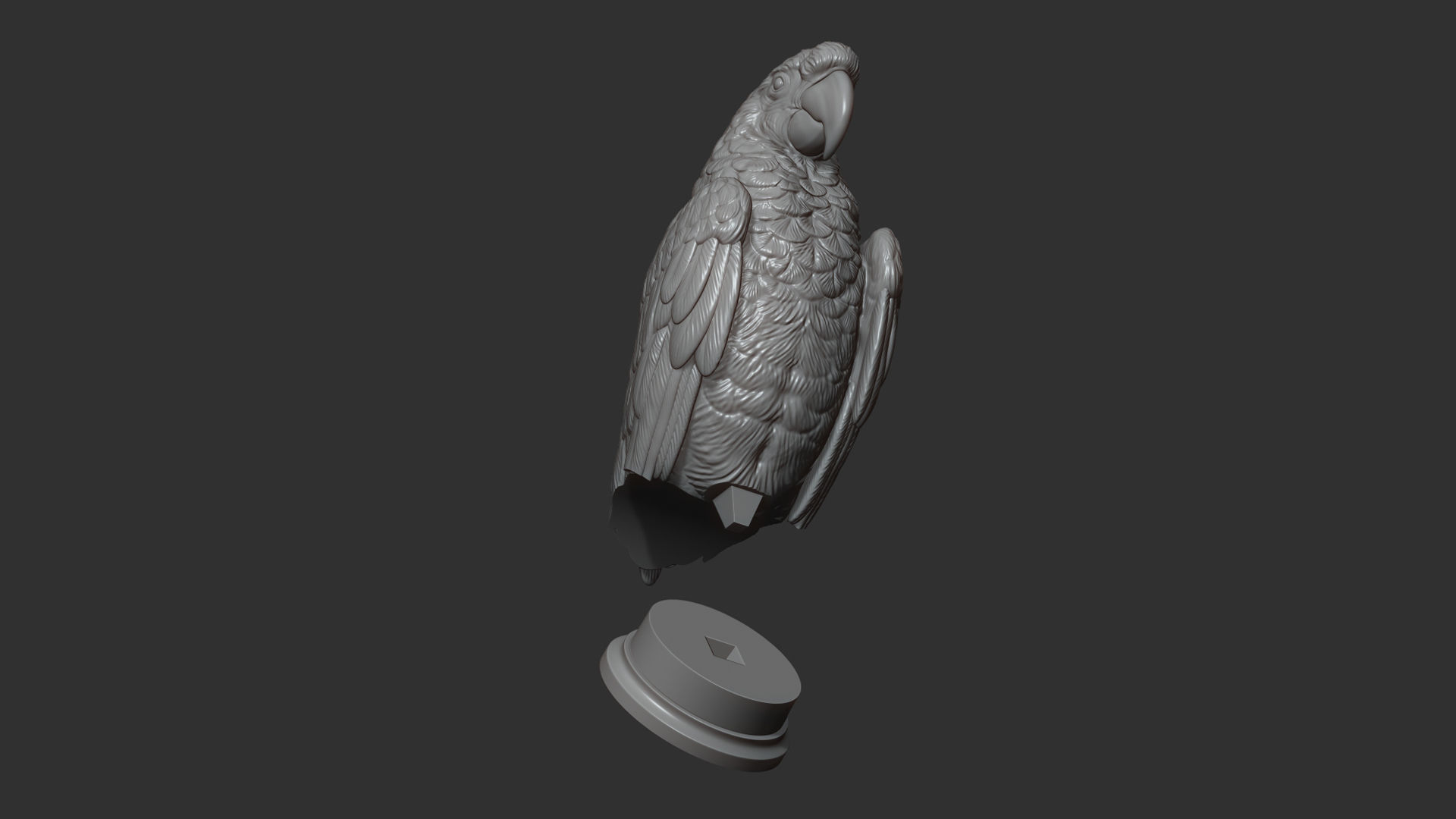 Parrot Ara bust 3D print model_11