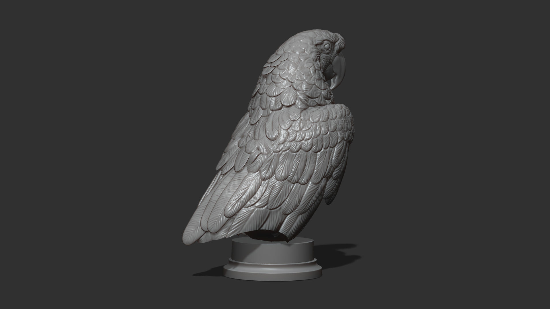 Parrot Ara bust 3D print model_16