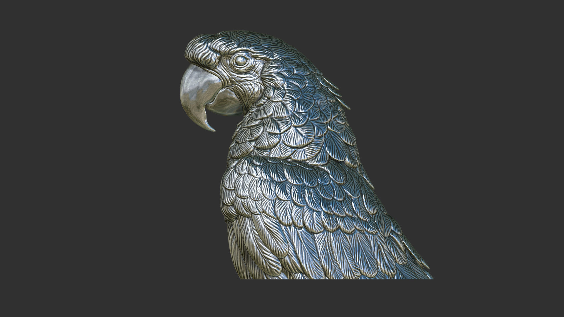 Parrot Ara bust 3D print model_5