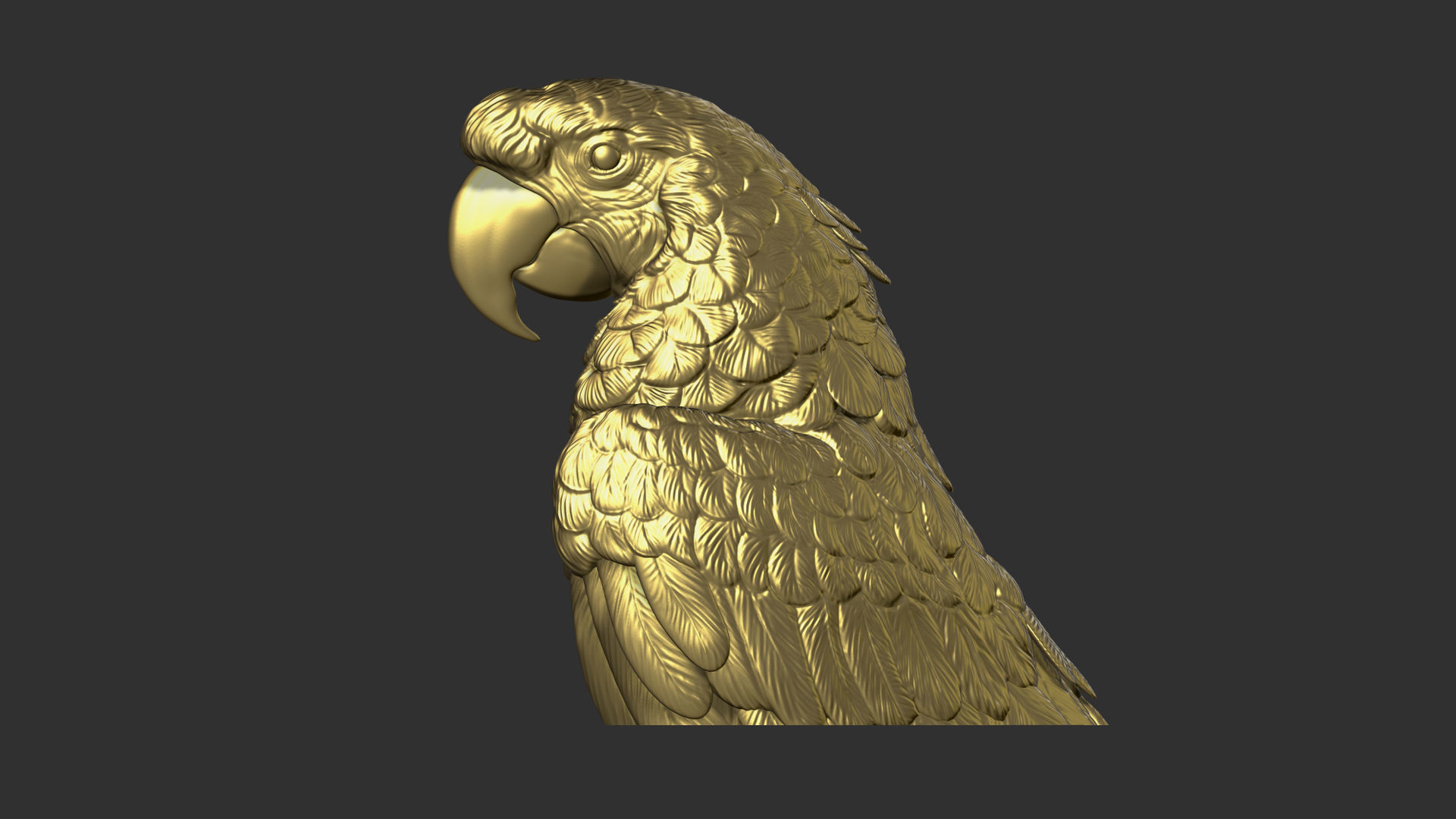 Parrot Ara bust 3D print model_3