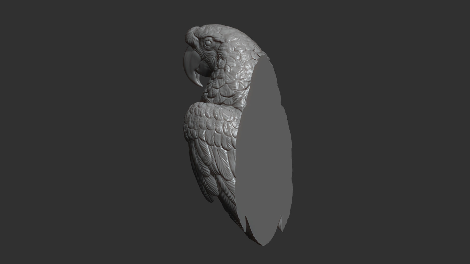 Parrot Ara bust 3D print model_25