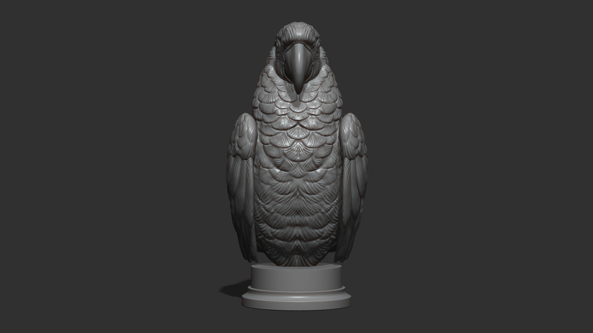 Parrot Ara bust 3D print model_14