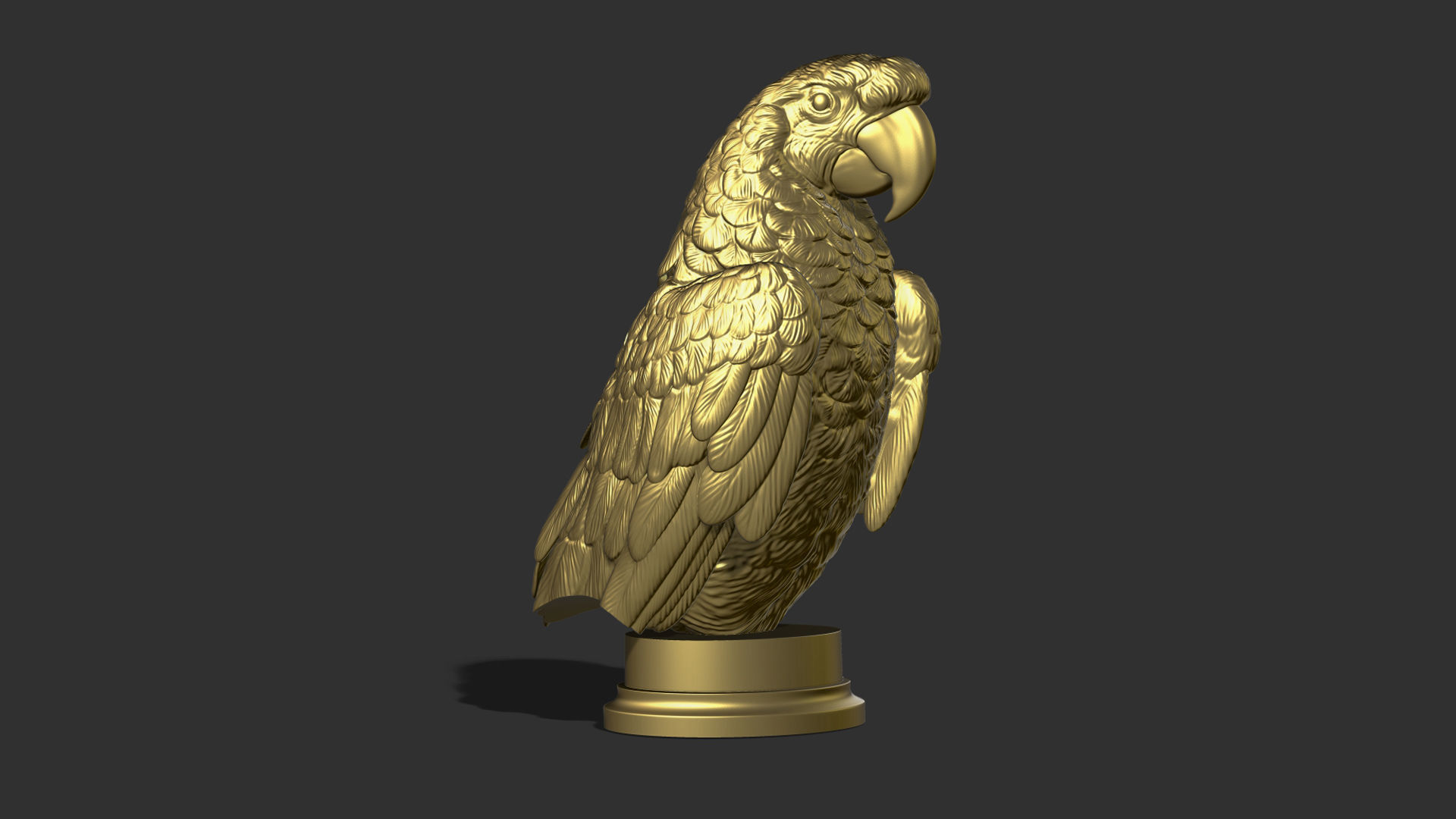 Parrot Ara bust 3D print model_20