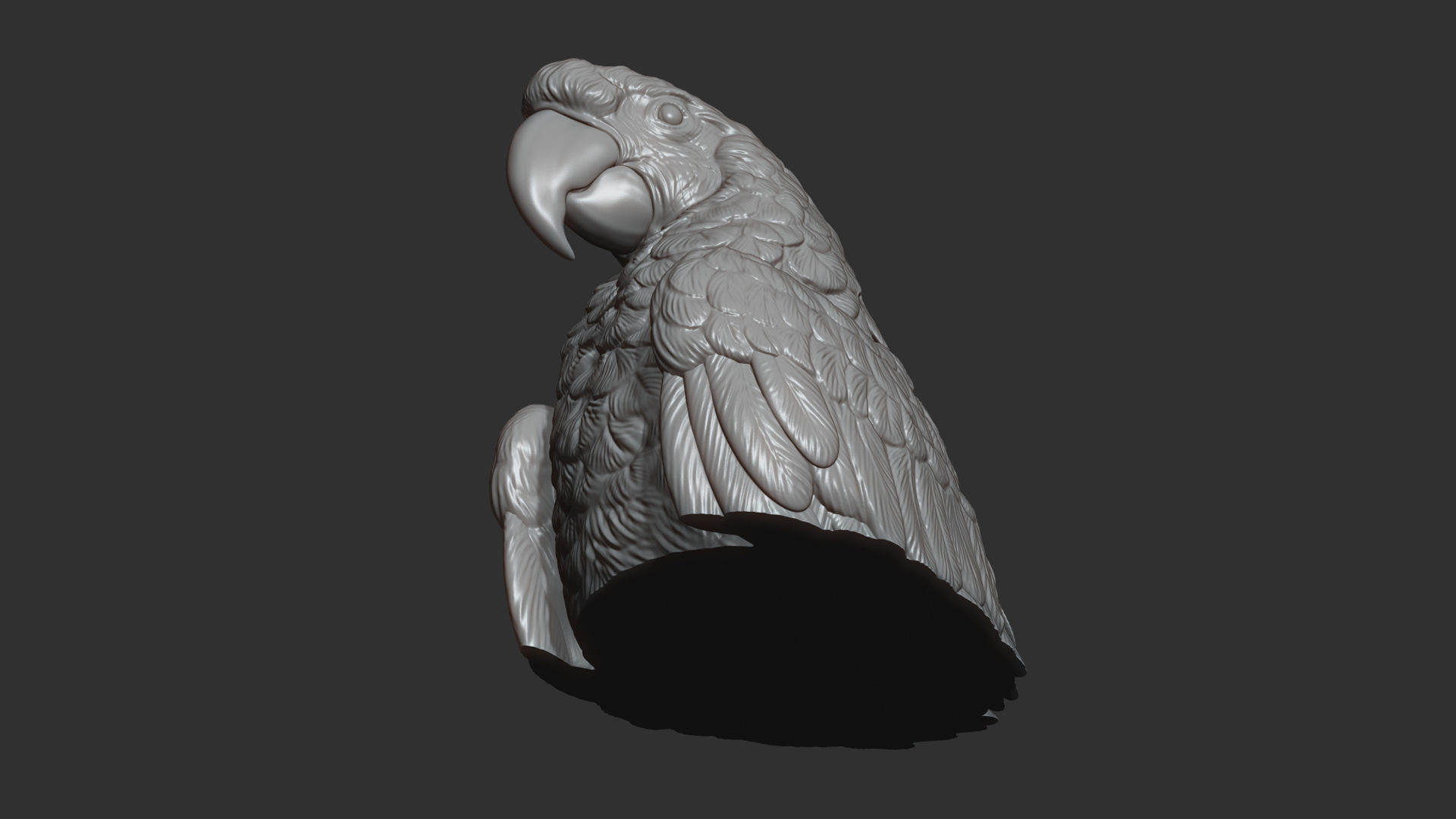 Parrot Ara bust 3D print model_8