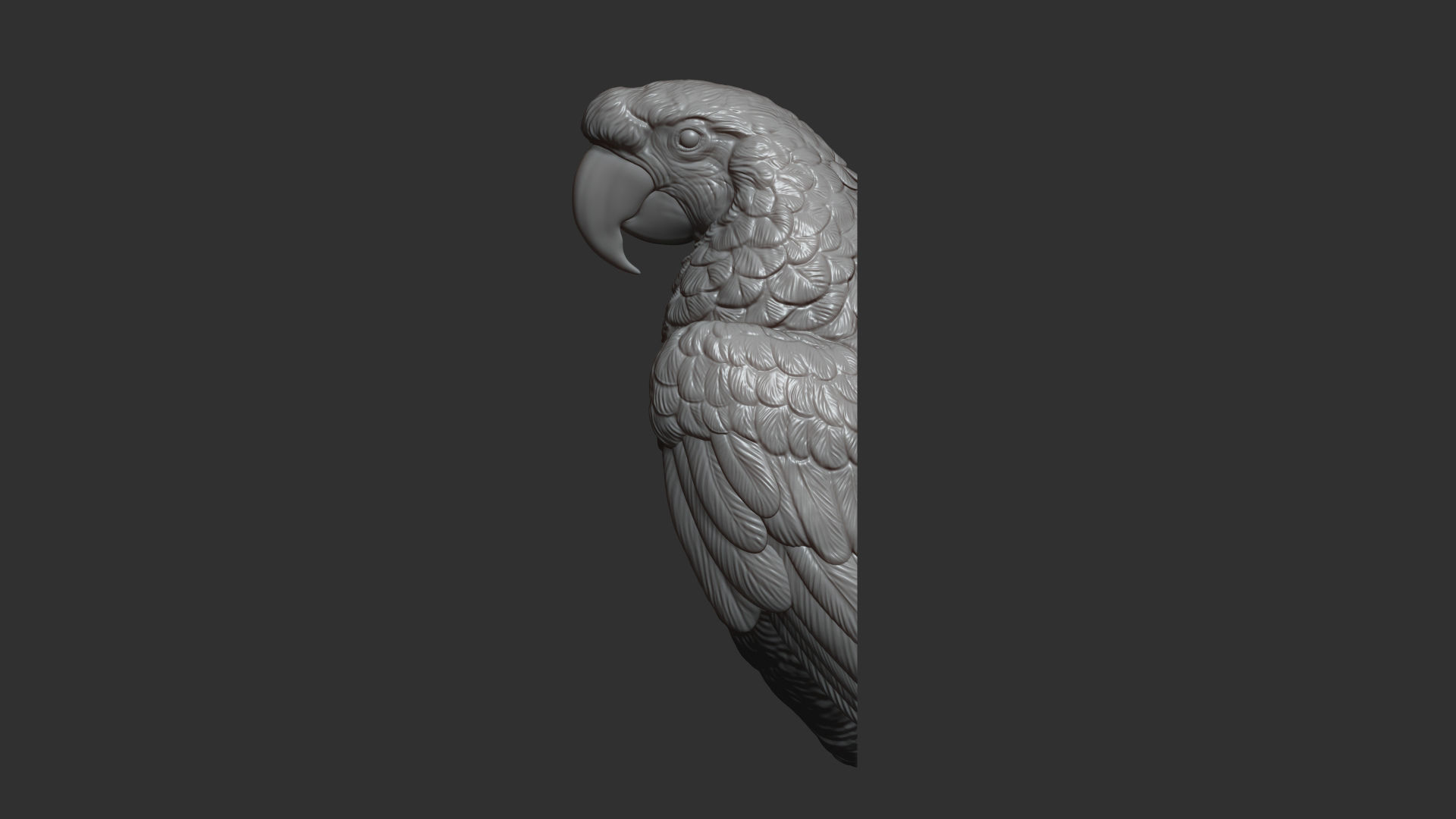 Parrot Ara bust 3D print model_24