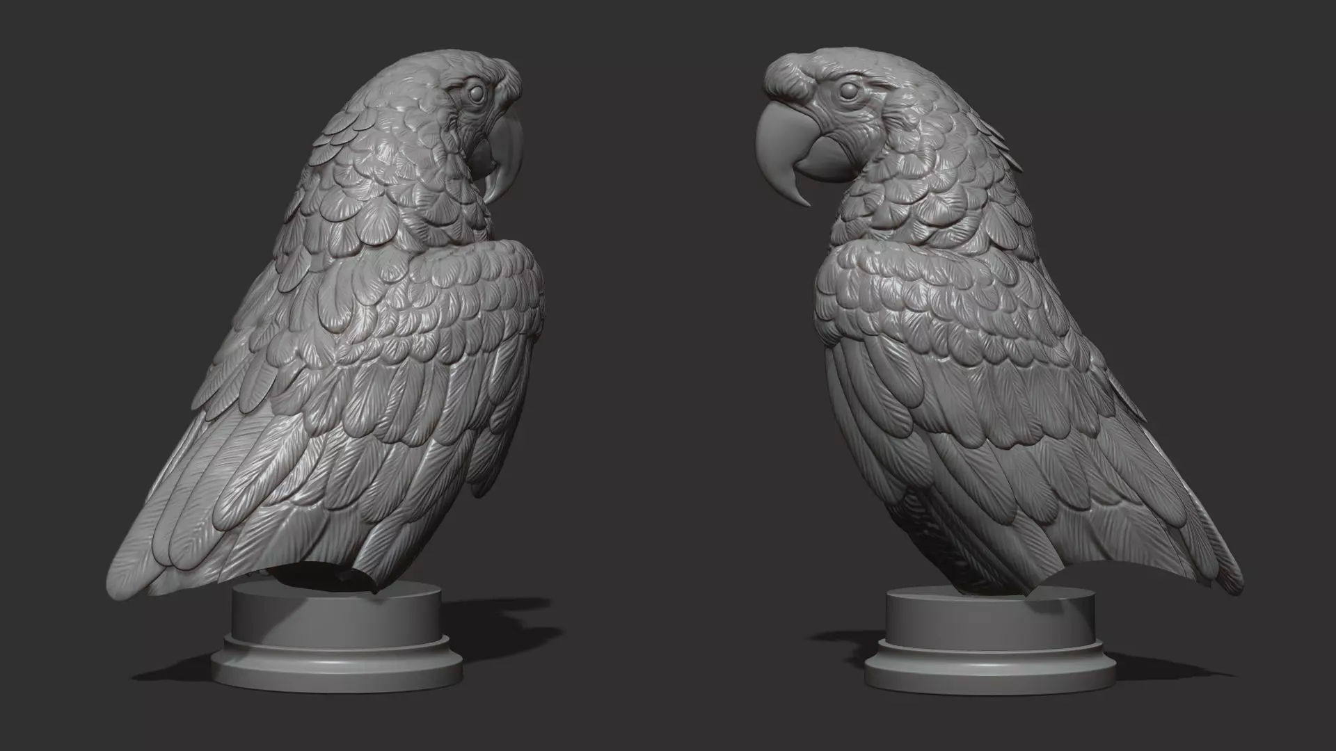 Parrot Ara bust 3D print model_0