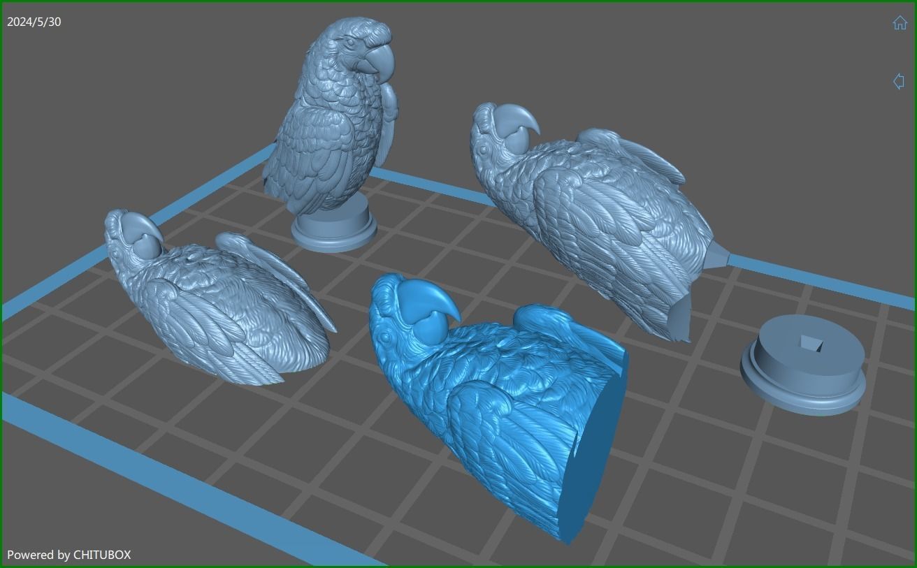 Parrot Ara bust 3D print model_1