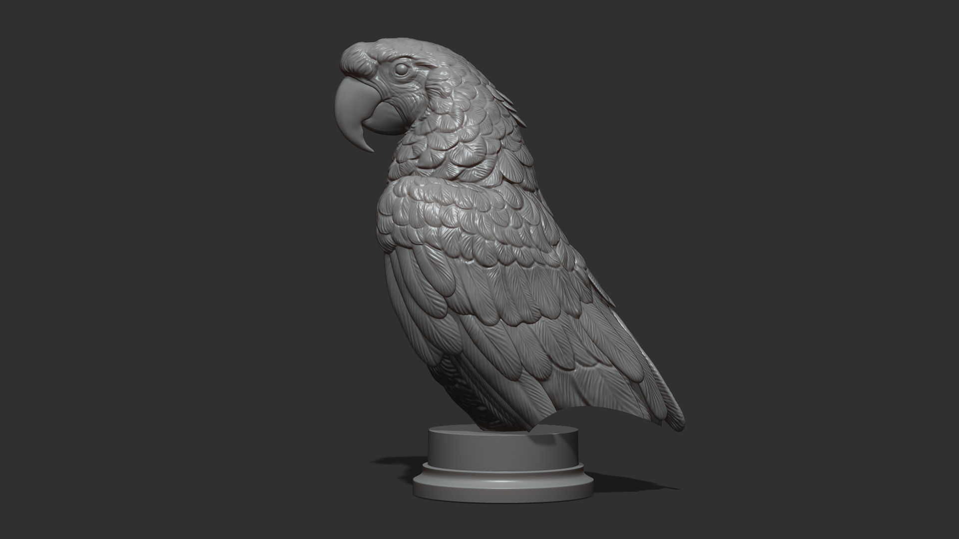 Parrot Ara bust 3D print model_12
