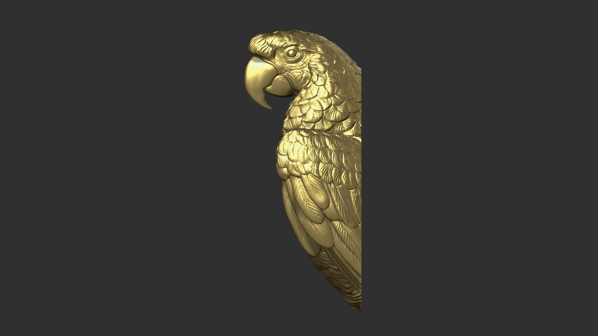 Parrot Ara bust 3D print model_27