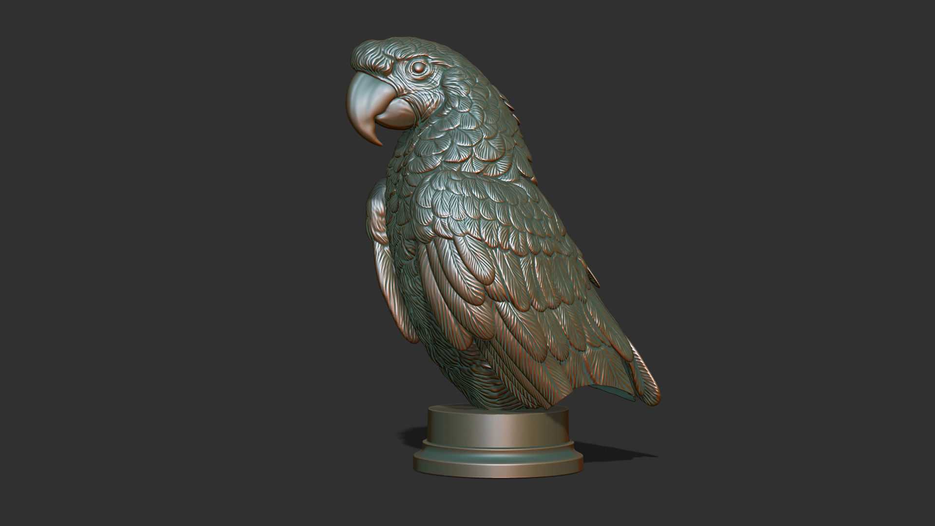 Parrot Ara bust 3D print model_18