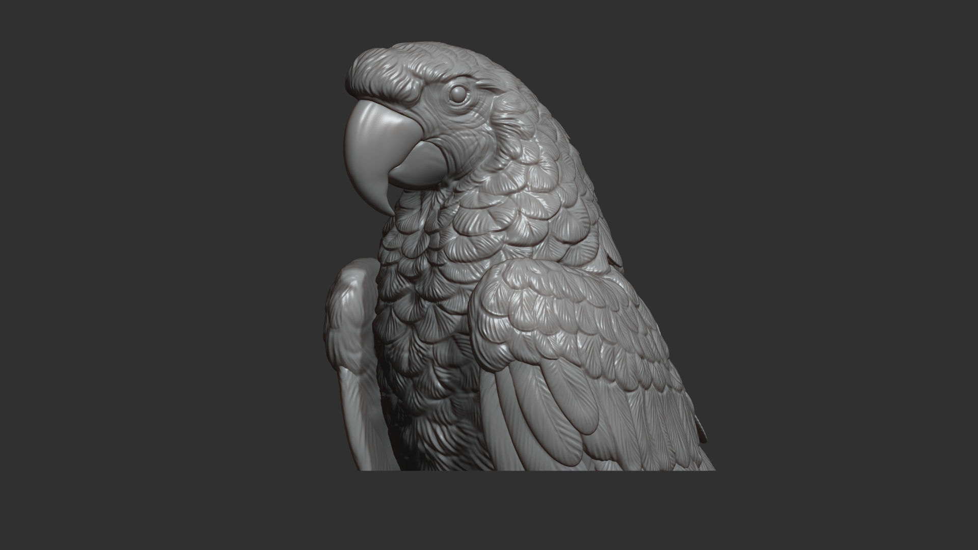 Parrot Ara bust 3D print model_10