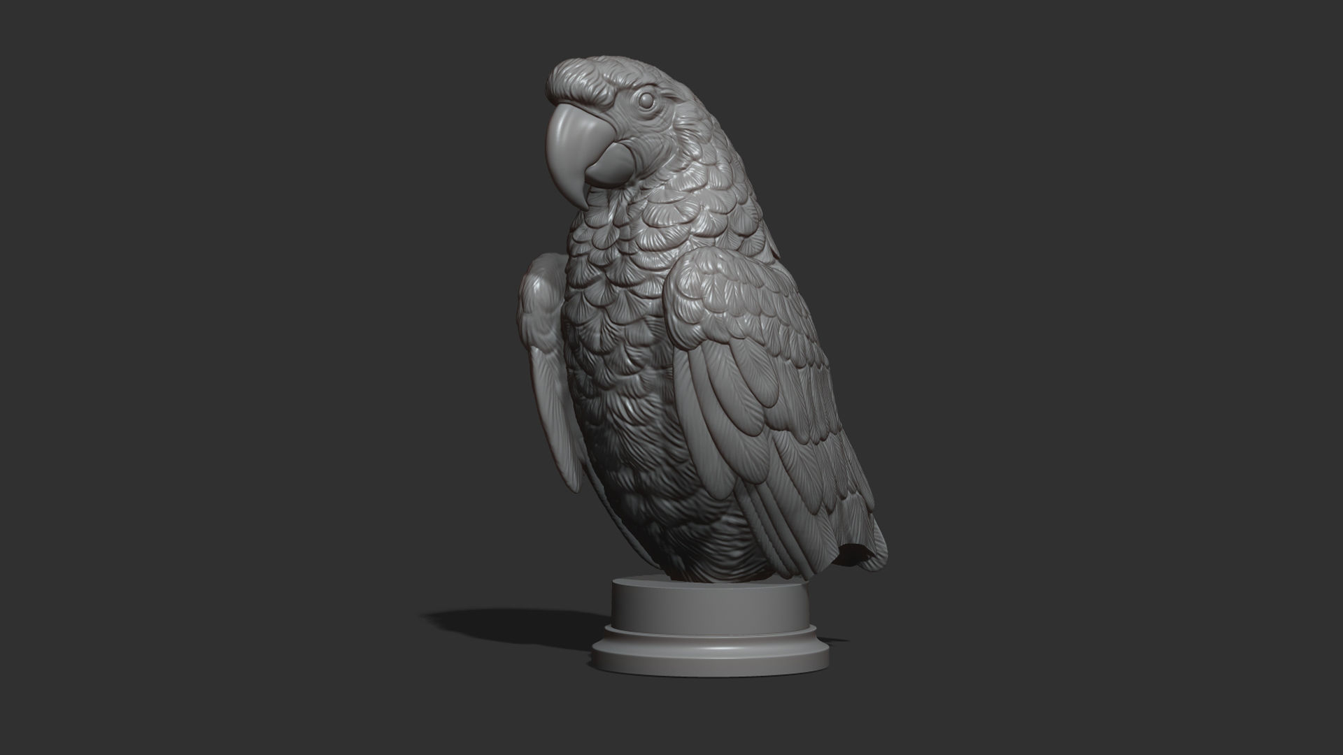 Parrot Ara bust 3D print model_17
