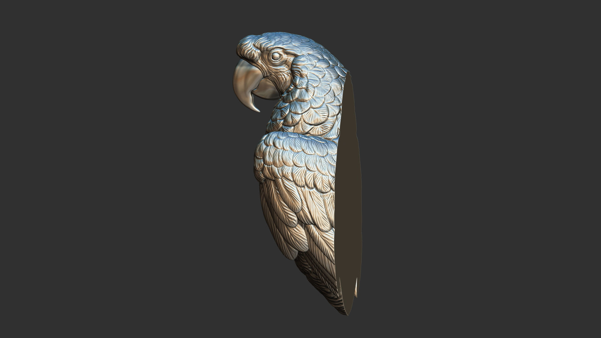 Parrot Ara bust 3D print model_28