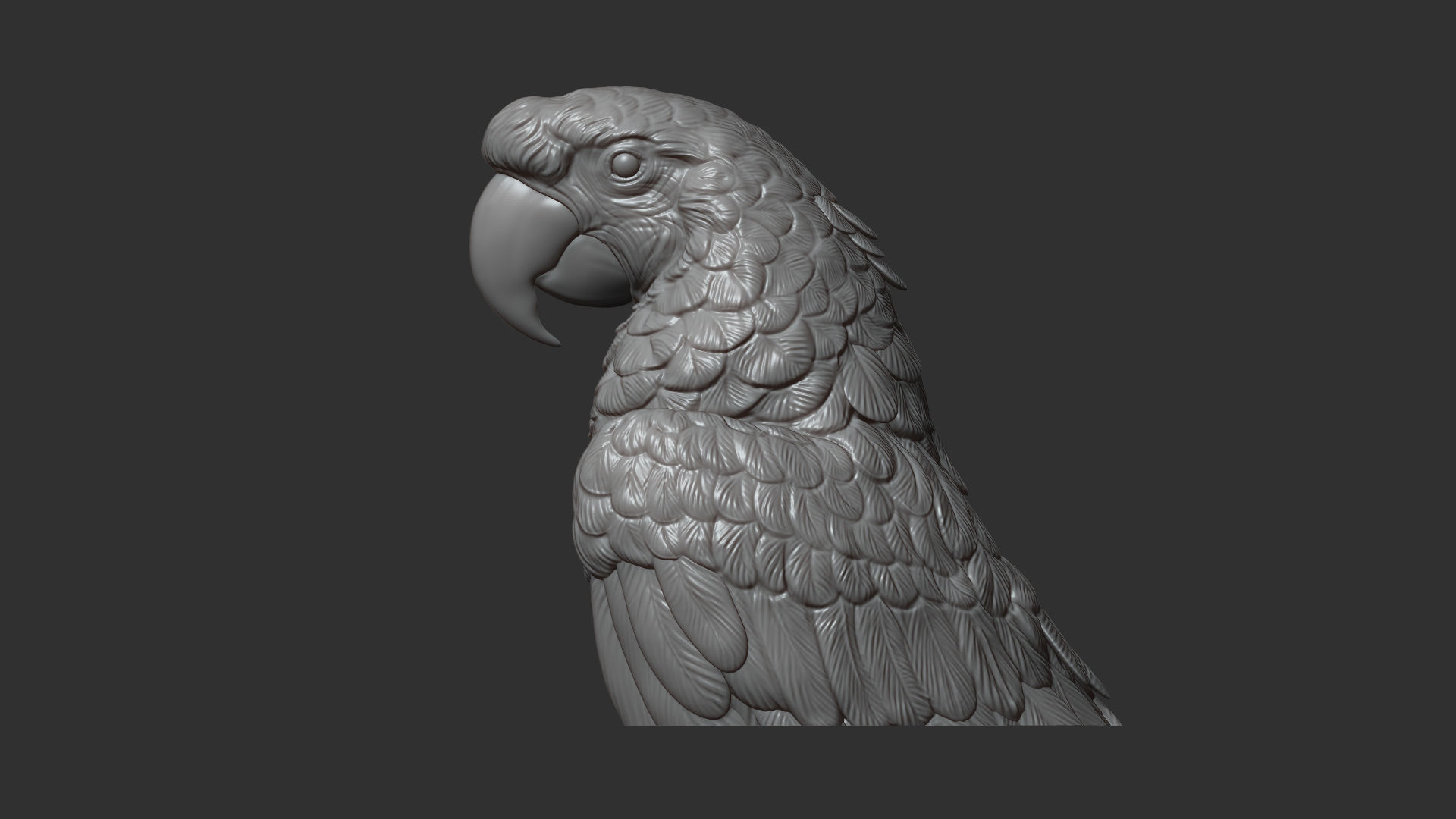 Parrot Ara bust 3D print model_9