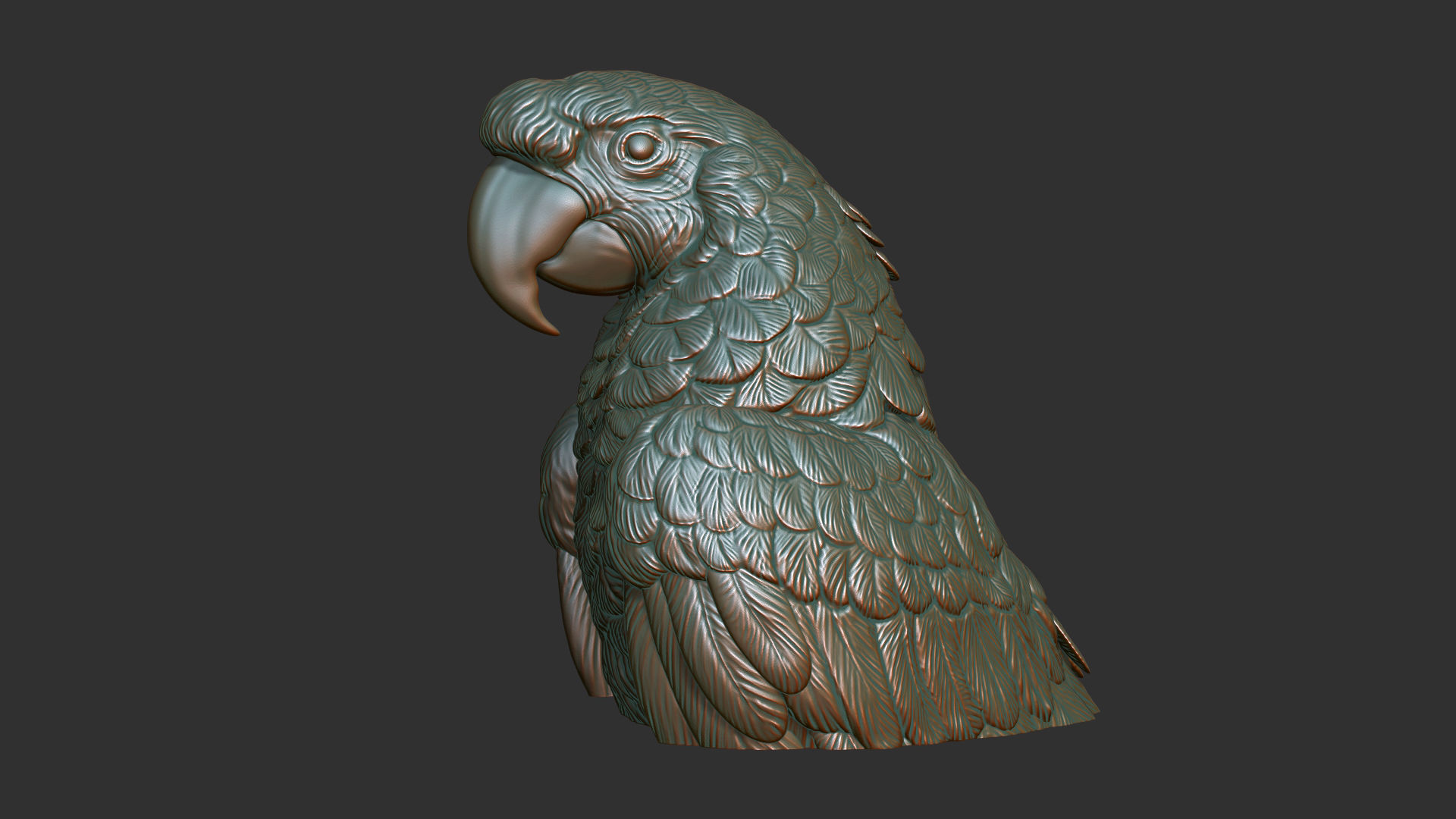 Parrot Ara bust 3D print model_4