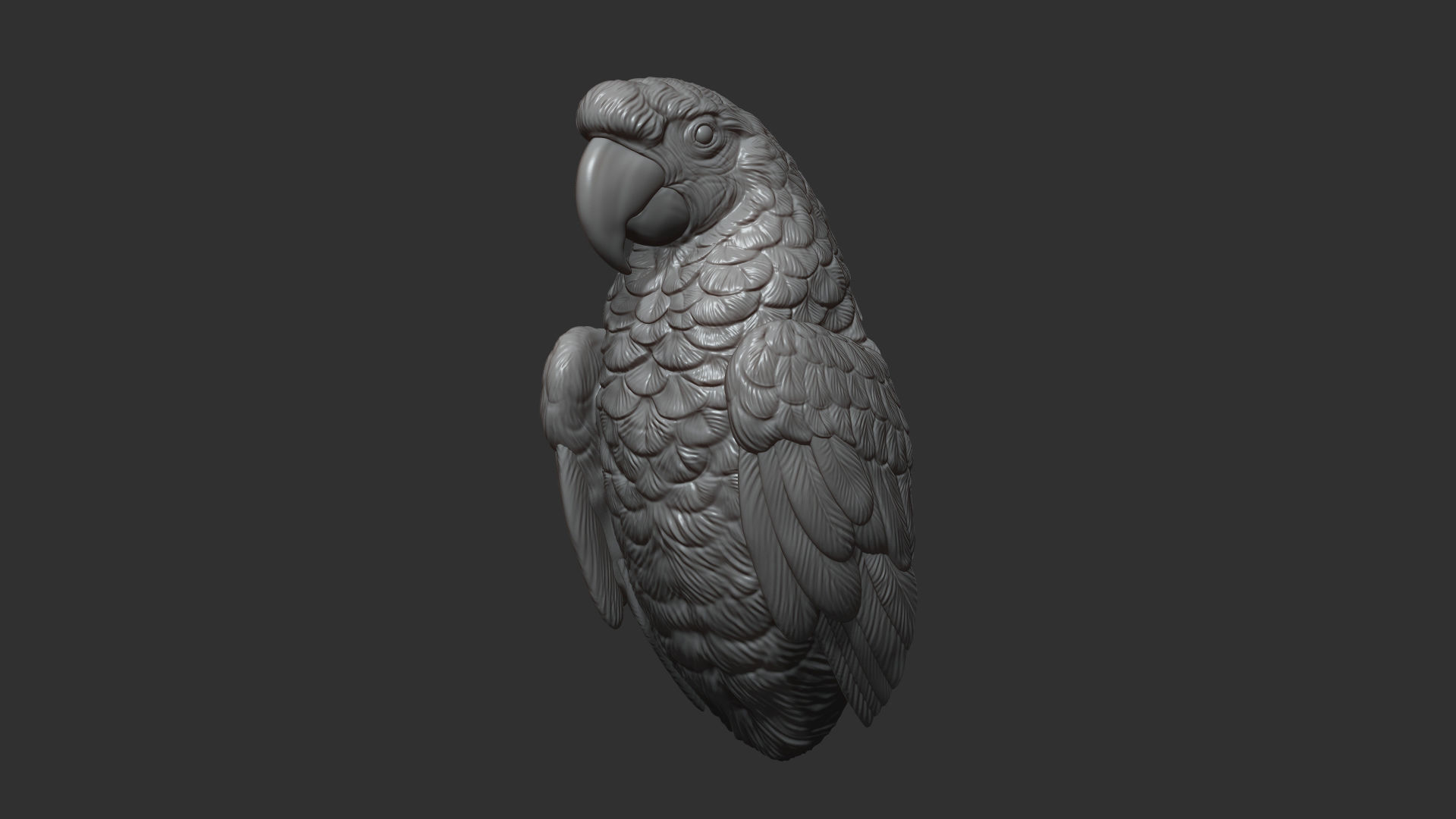 Parrot Ara bust 3D print model_22