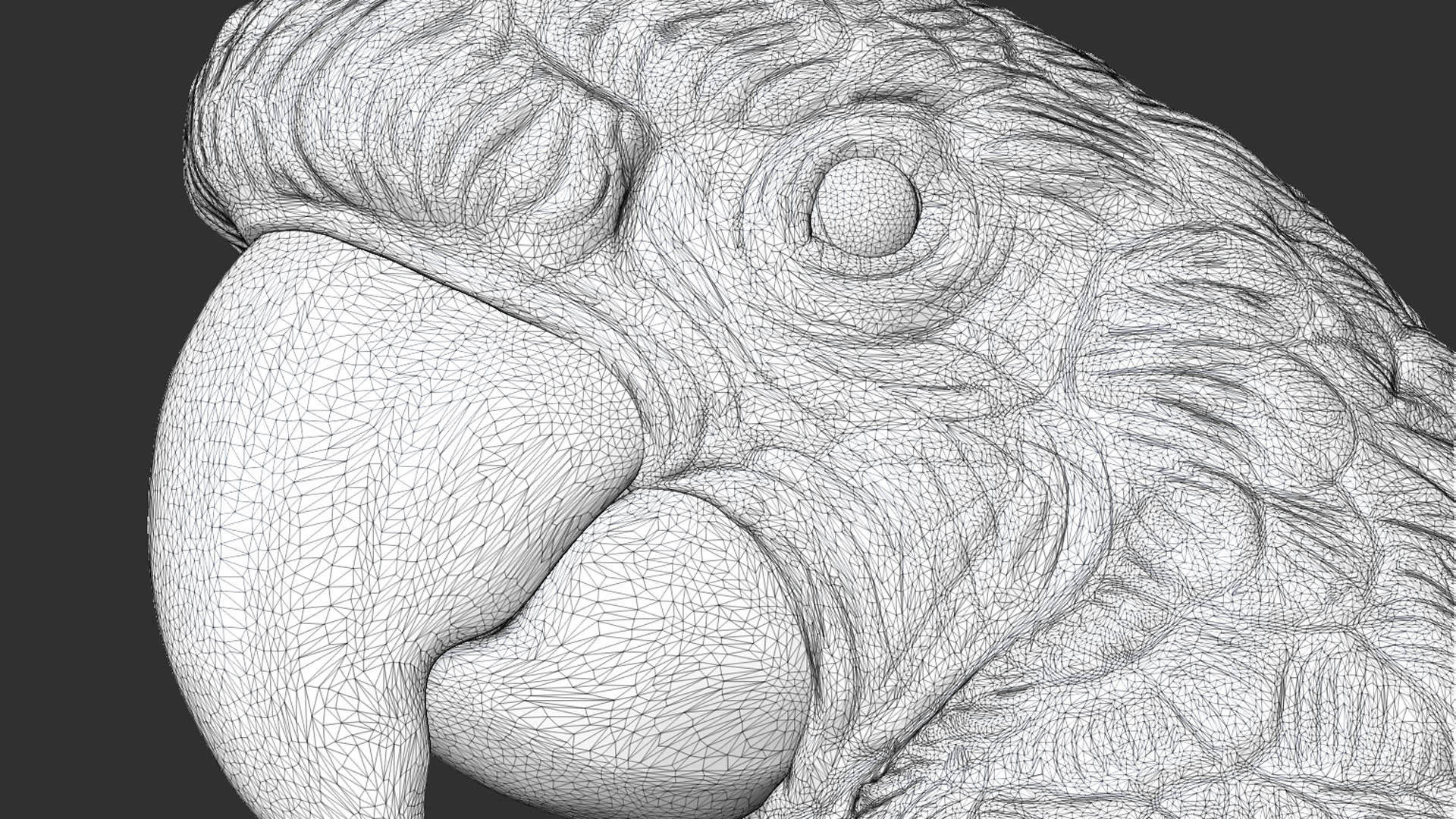 Parrot Ara bust 3D print model_29