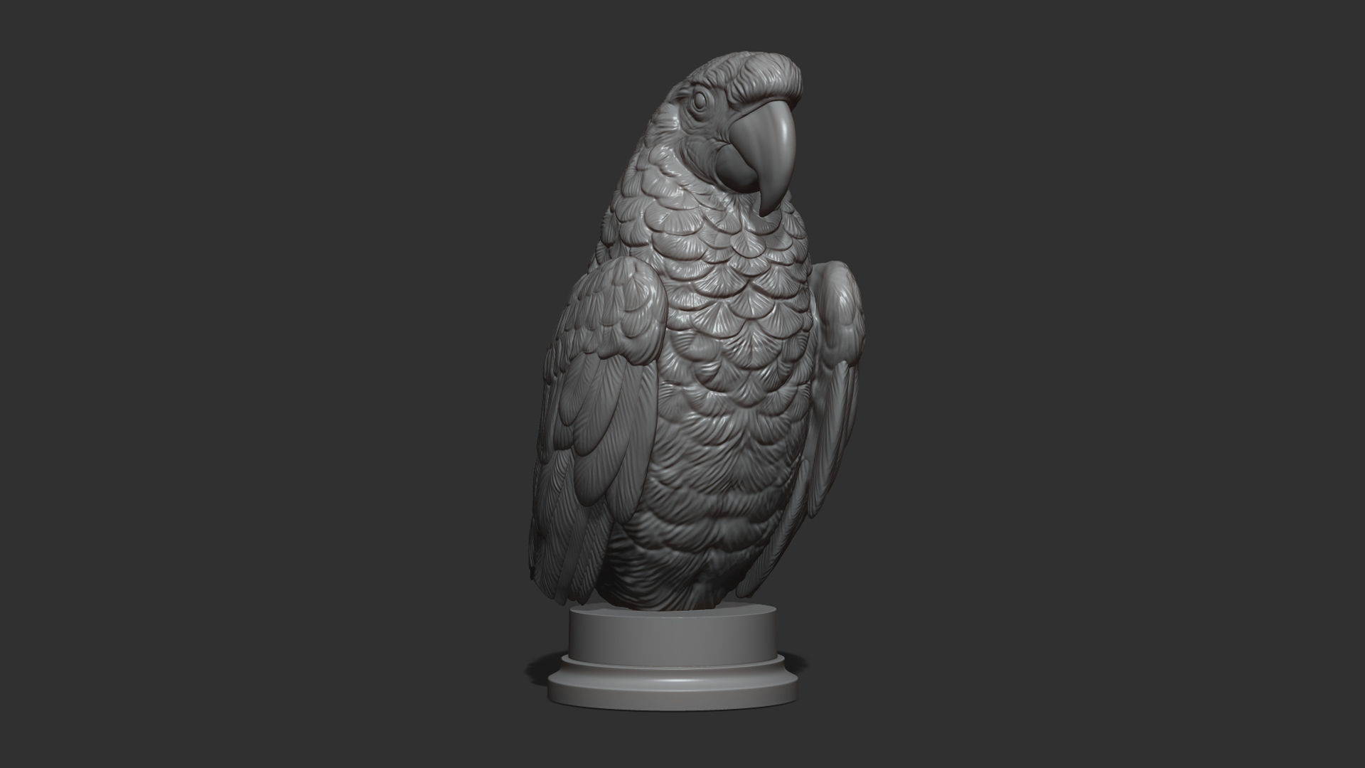Parrot Ara bust 3D print model_15