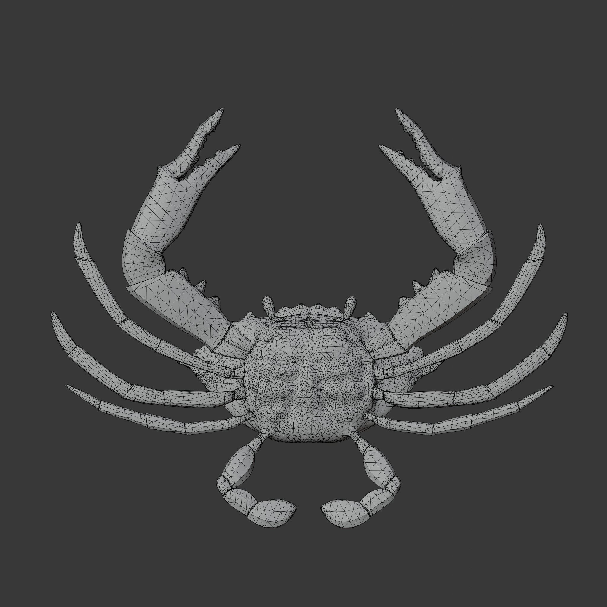 cute crab 3d 3D model_17