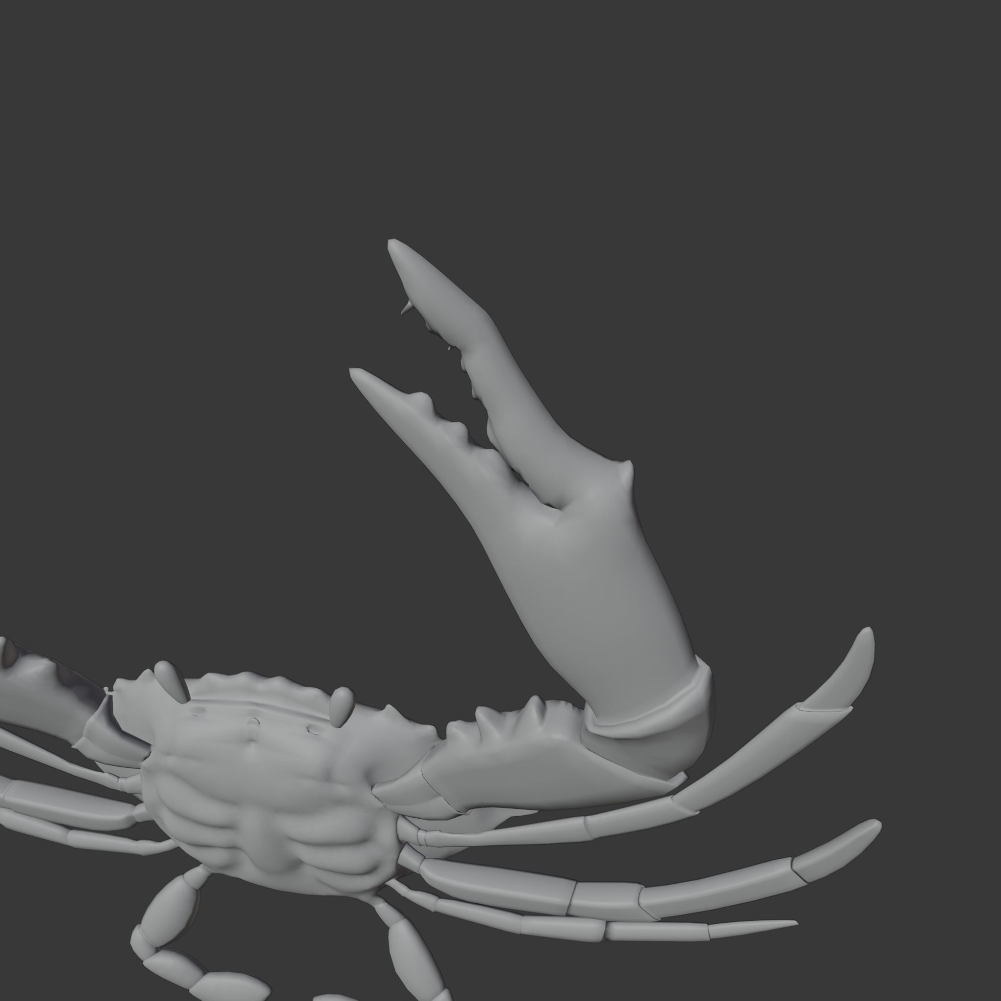 cute crab 3d 3D model_15