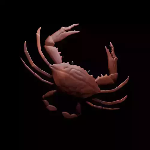 cute crab 3d