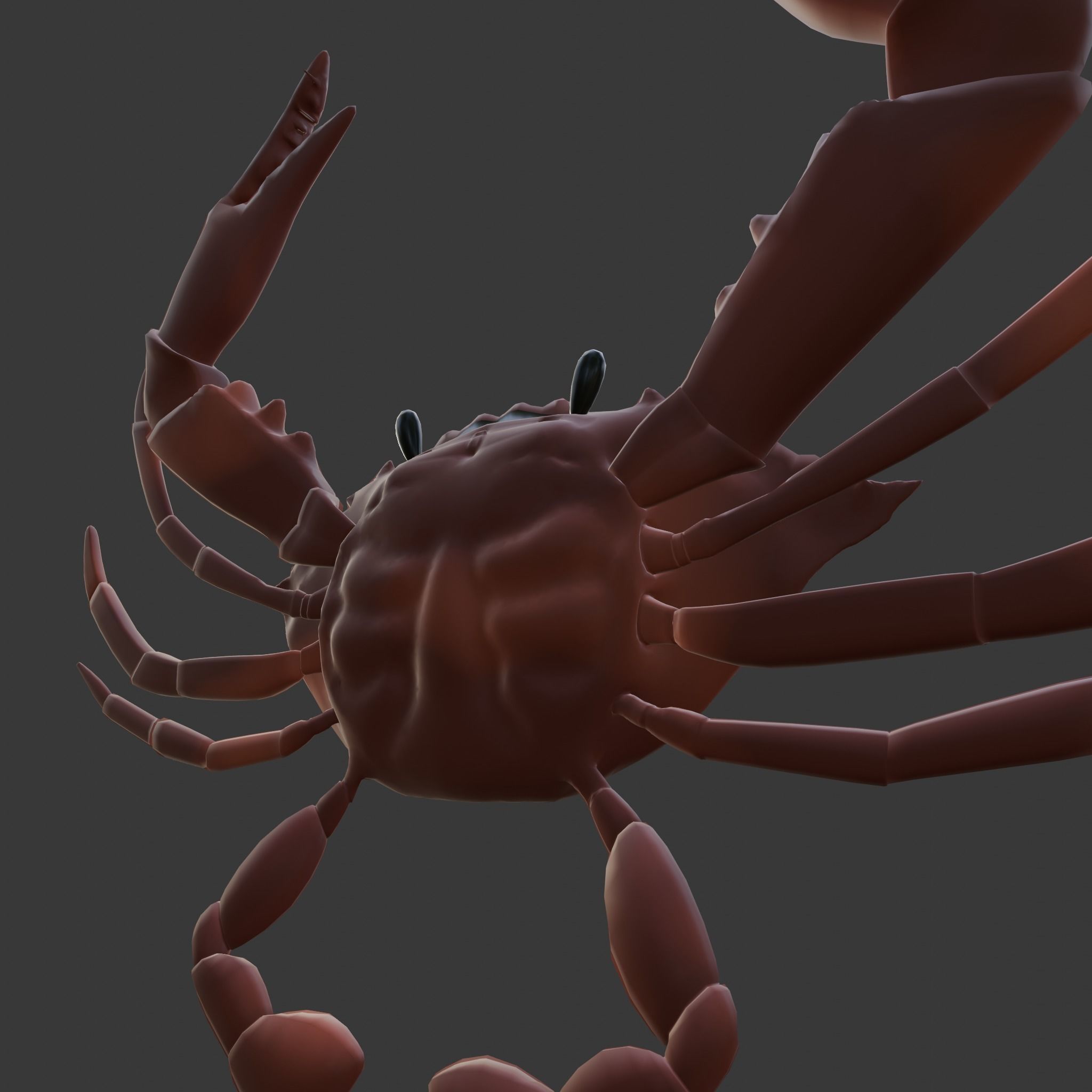 cute crab 3d 3D model_8