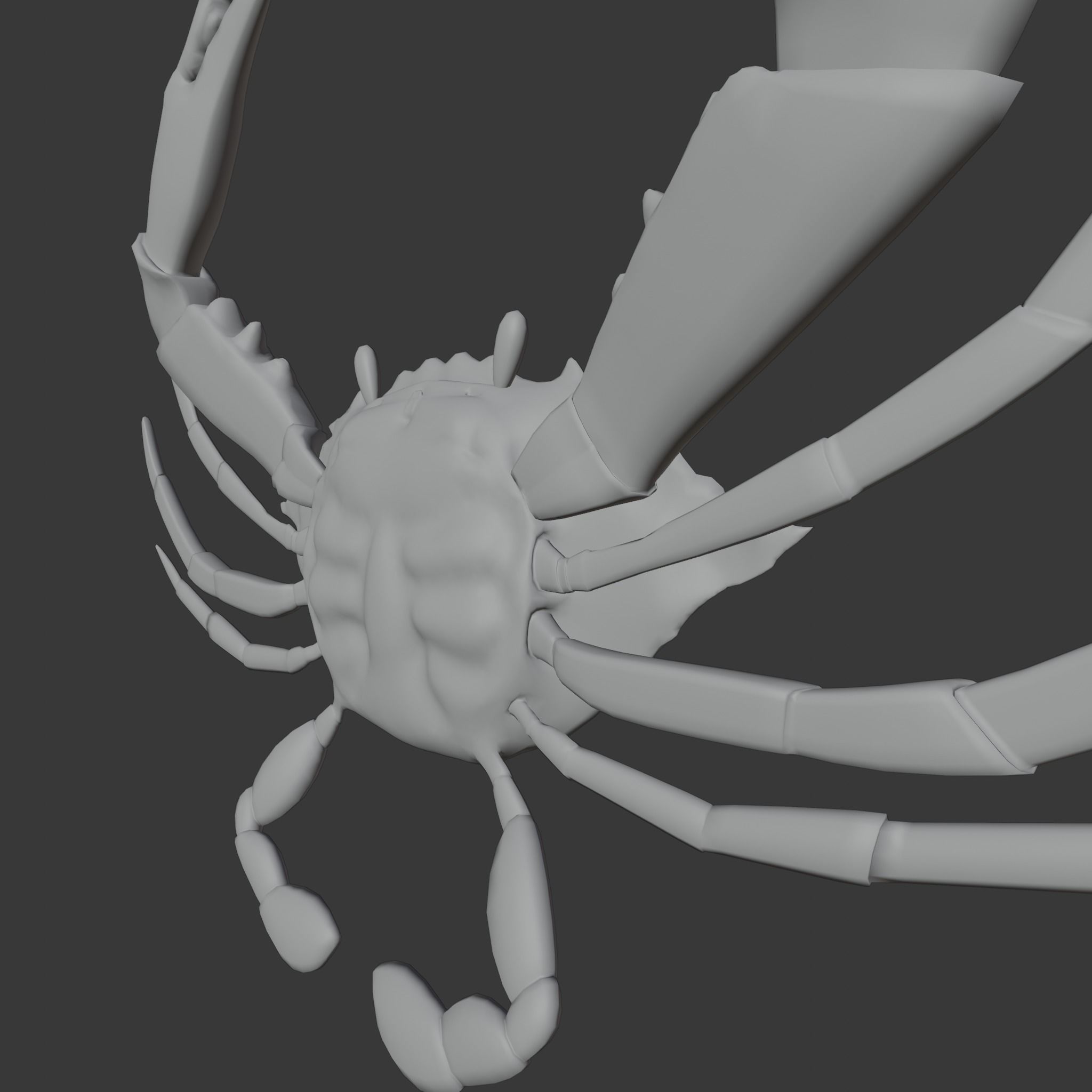 cute crab 3d 3D model_12