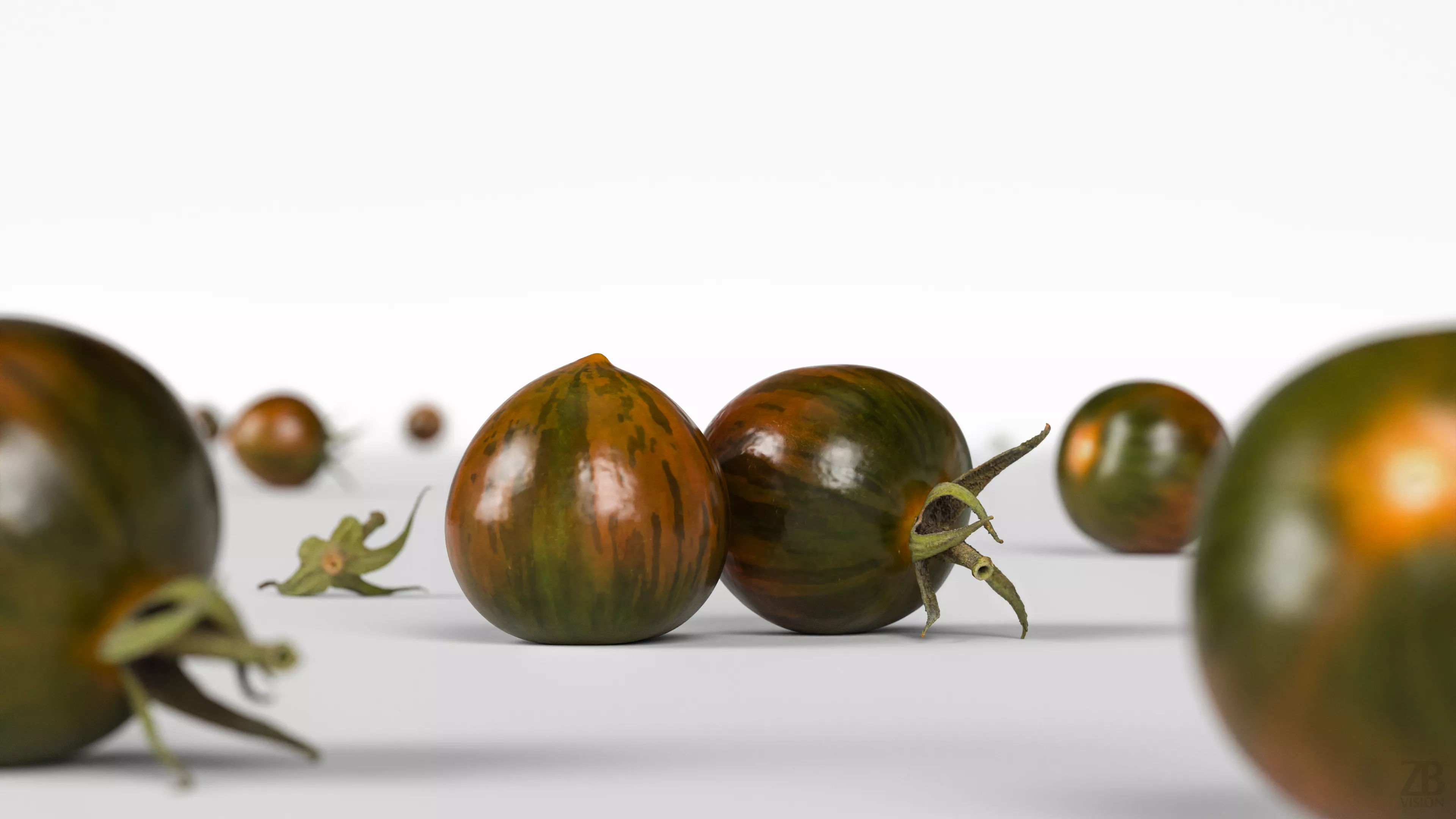Tomato 3D model_1