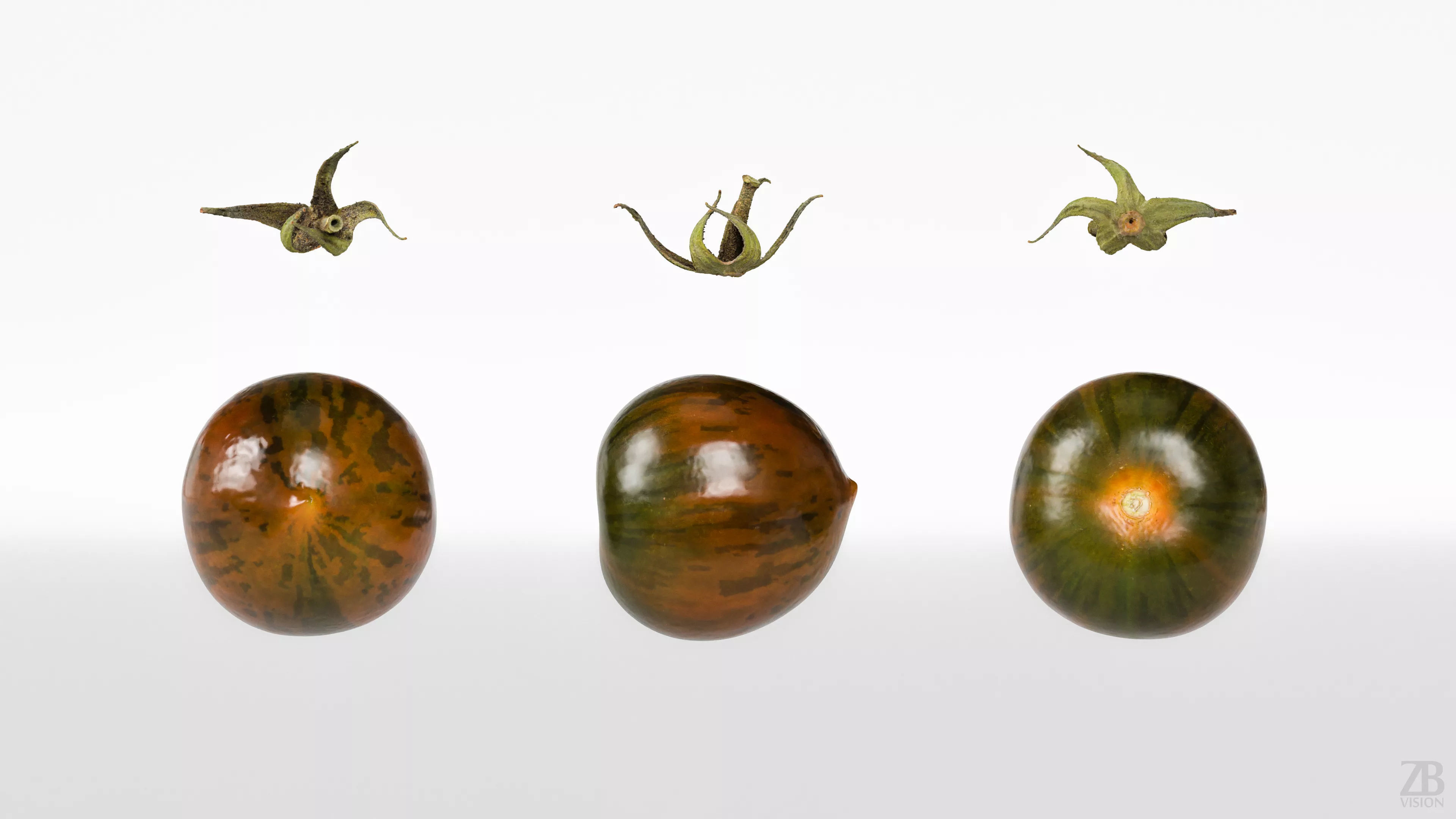 Tomato 3D model_4