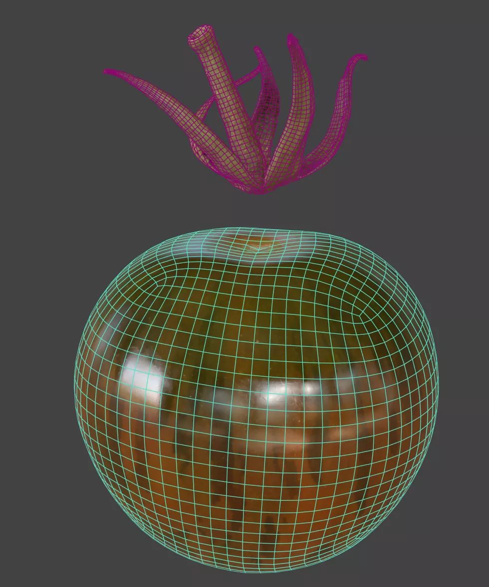 Tomato 3D model_6