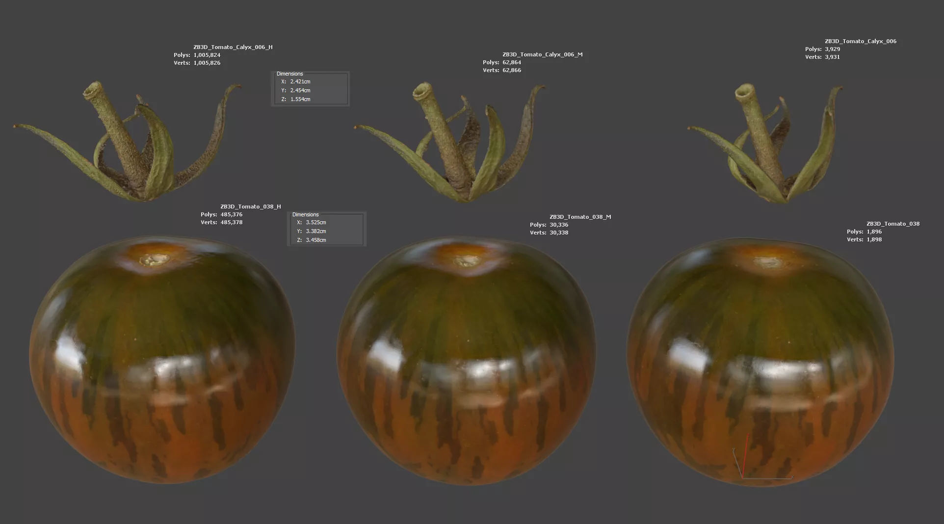 Tomato 3D model_5
