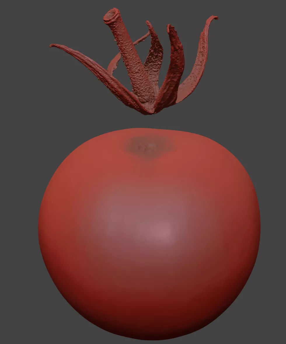 Tomato 3D model_7