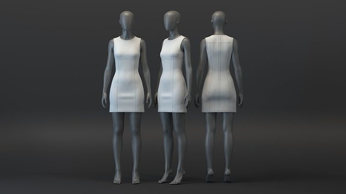 SL Panelled Denim Dress 3D model