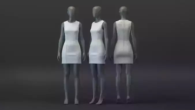 SL Panelled Denim Dress