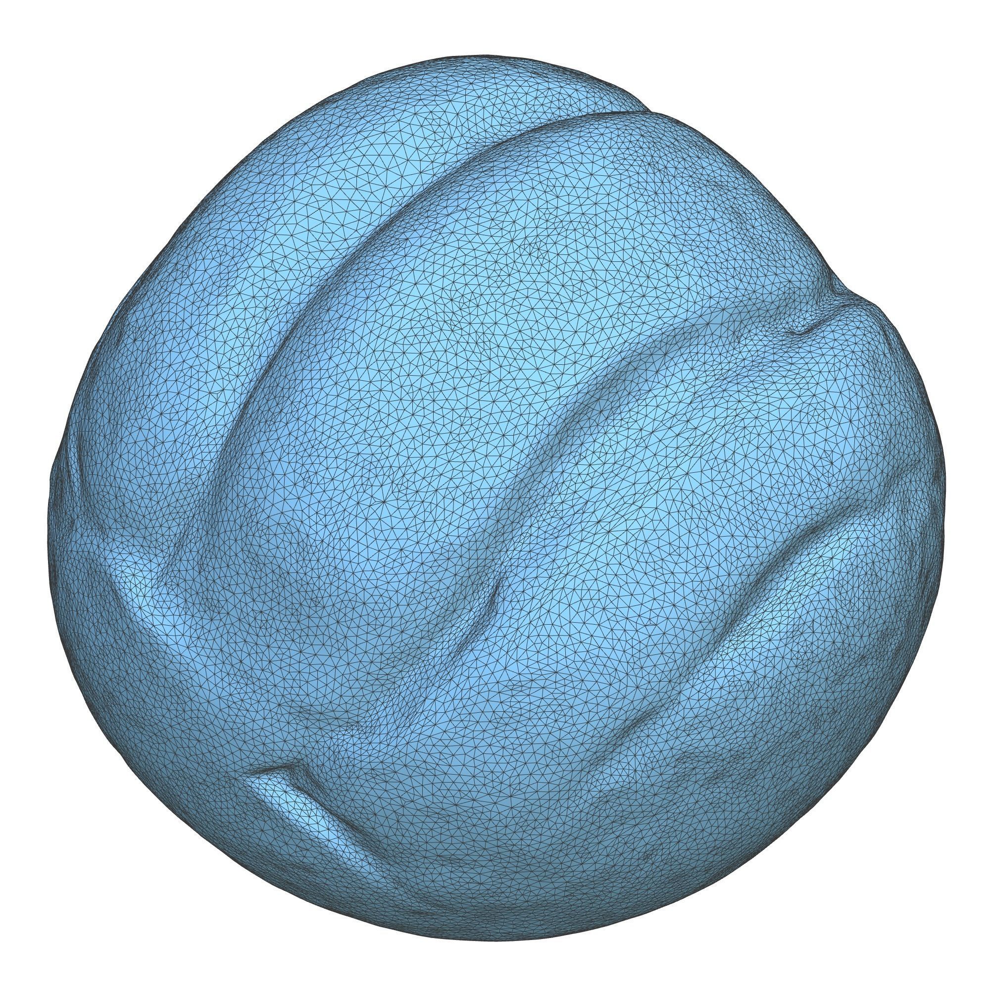 Realistic Bread 3D model_10