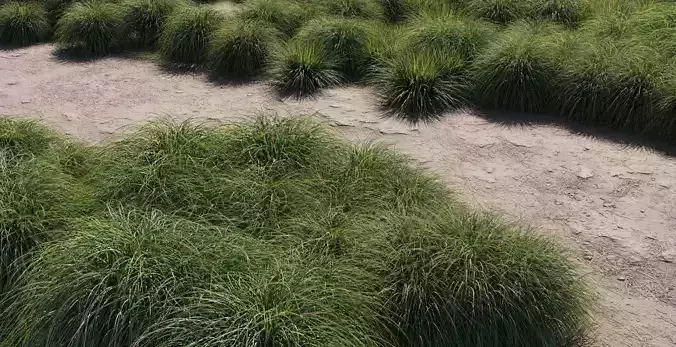 Realistic bush collection