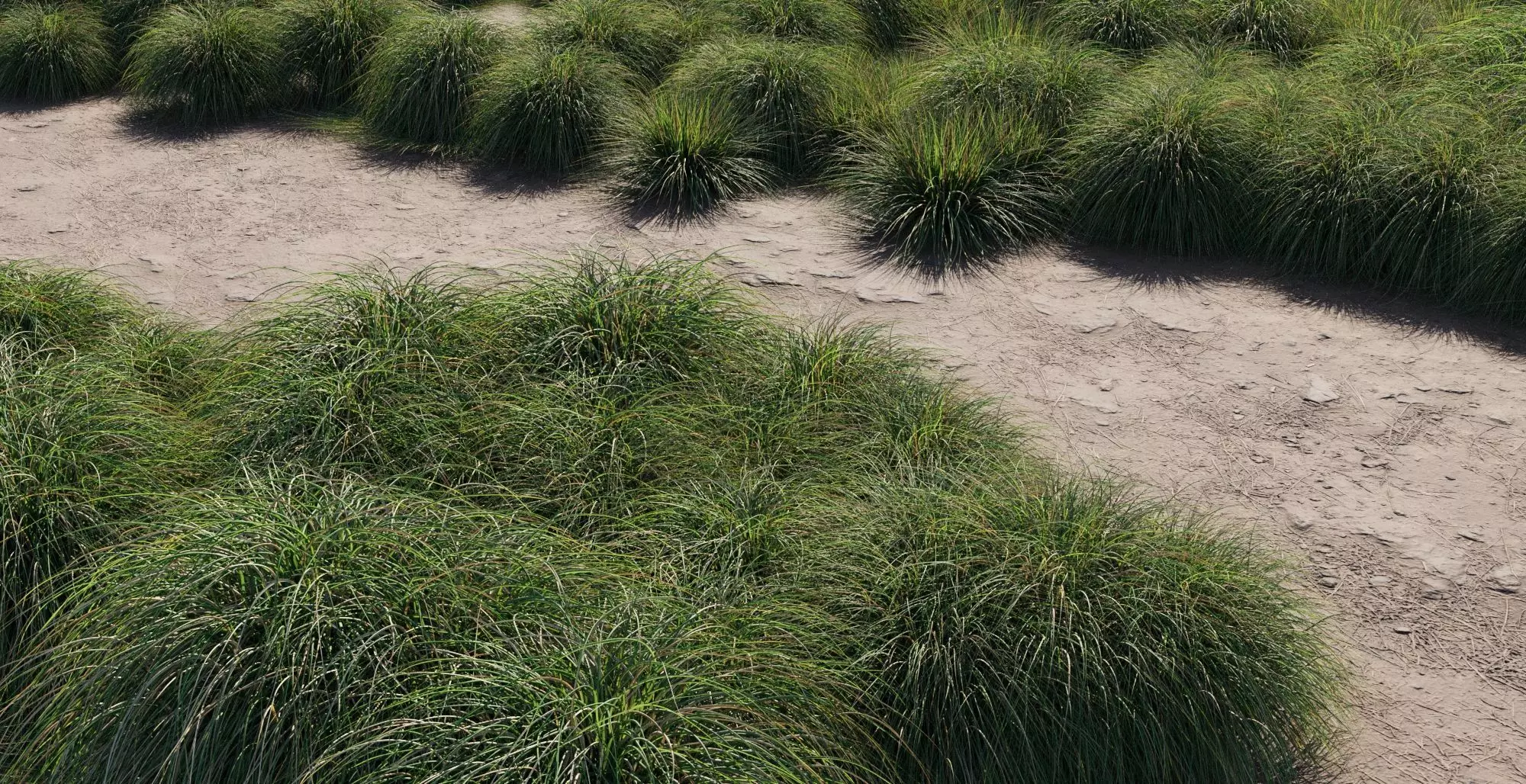 Realistic bush collection 3D model_0