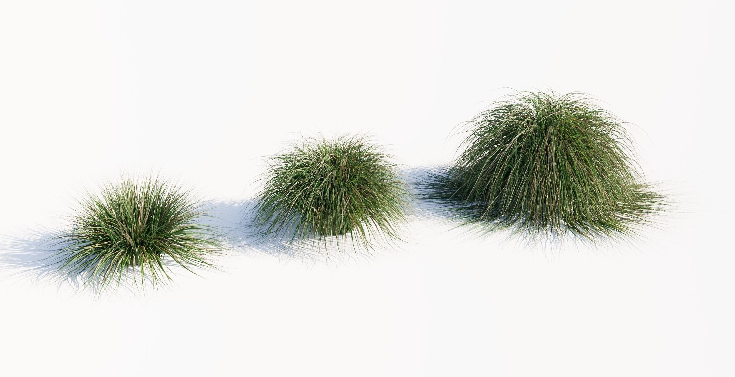 Realistic bush collection 3D model_3