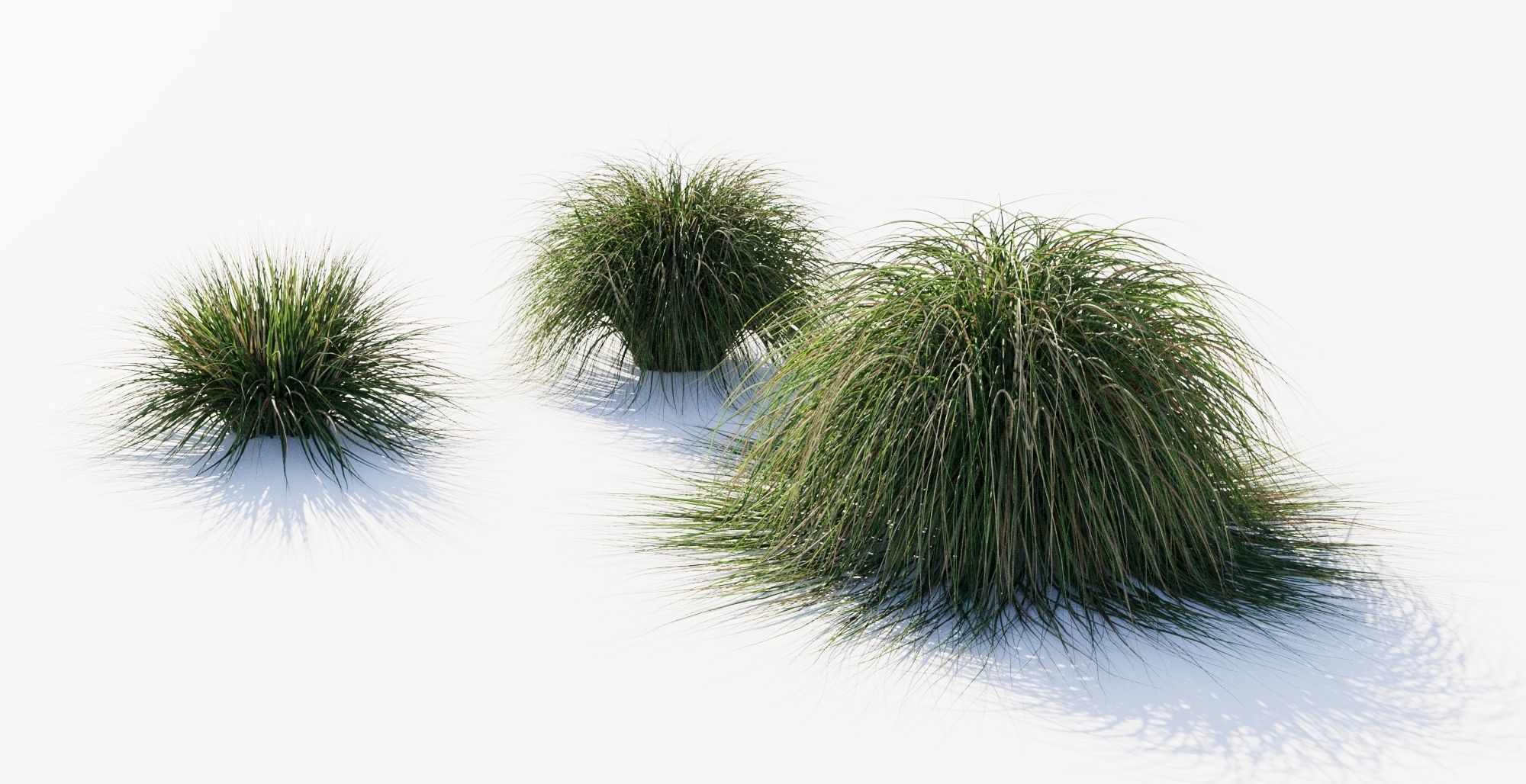 Realistic bush collection 3D model_4