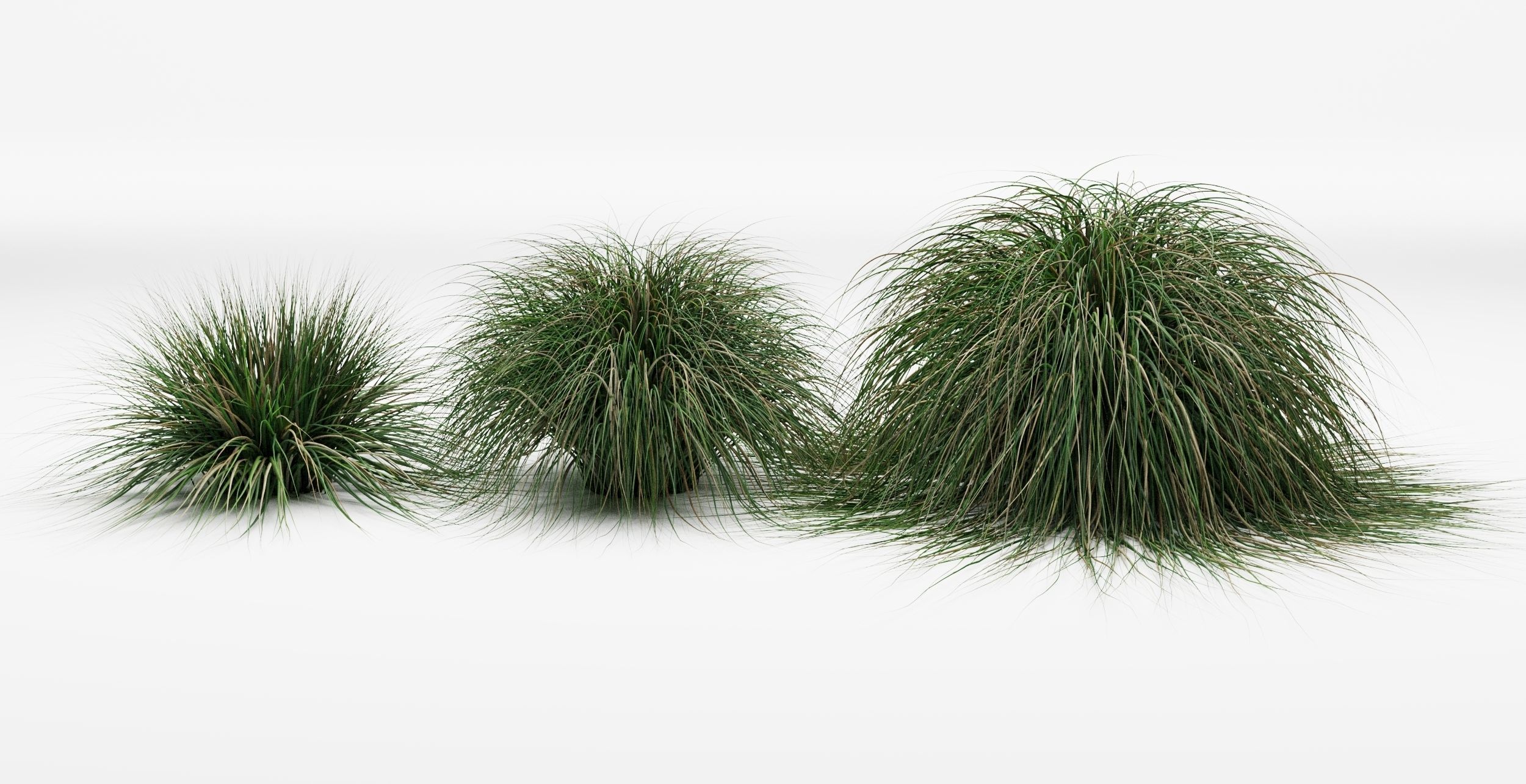 Realistic bush collection 3D model_5