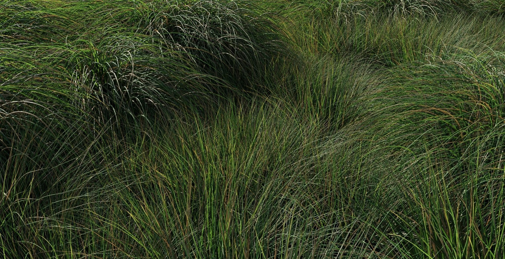 Realistic bush collection 3D model_7